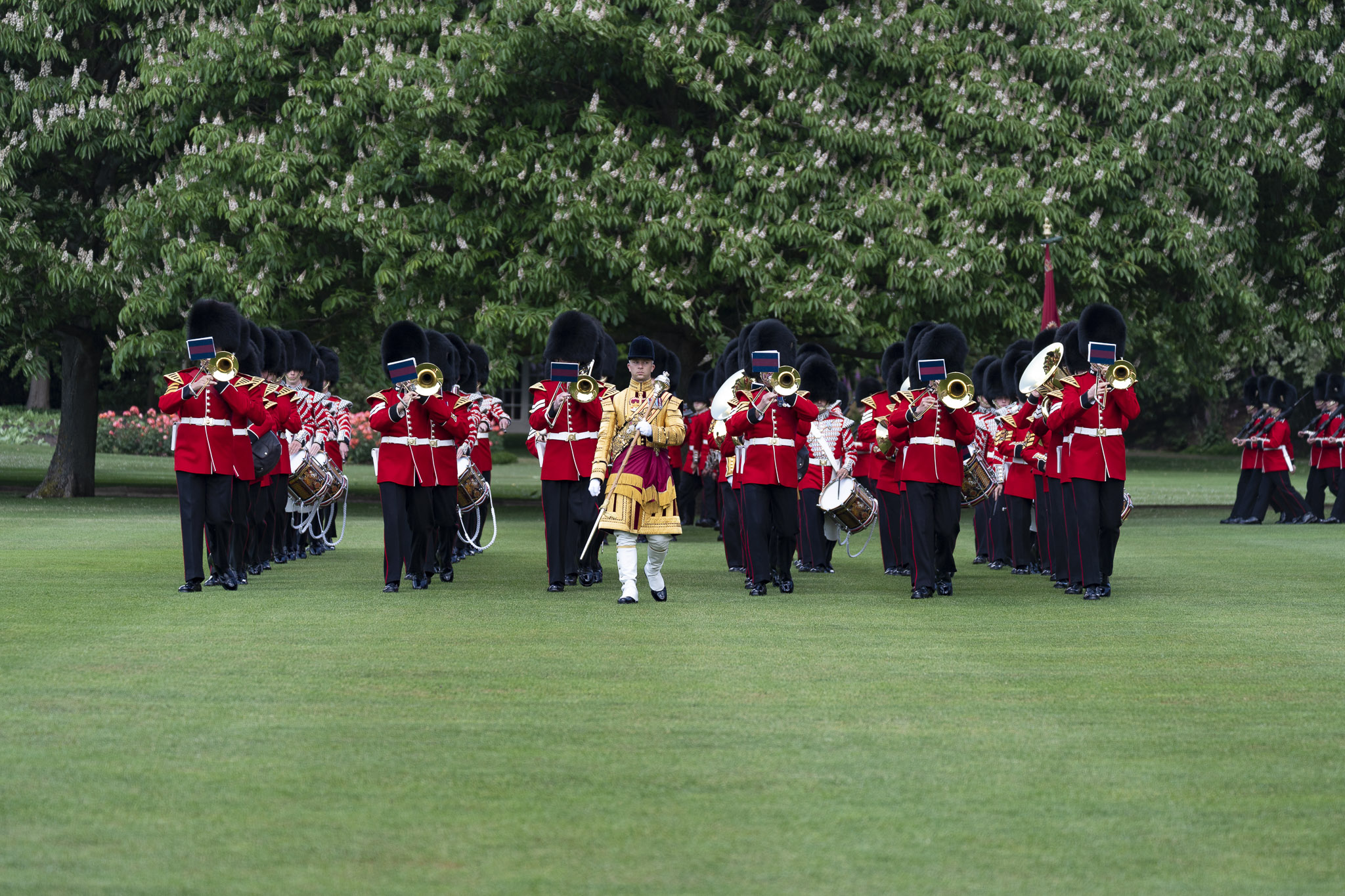 Free download high resolution image - free image free photo free stock image public domain picture -The Grenadier Guards at the palace in London