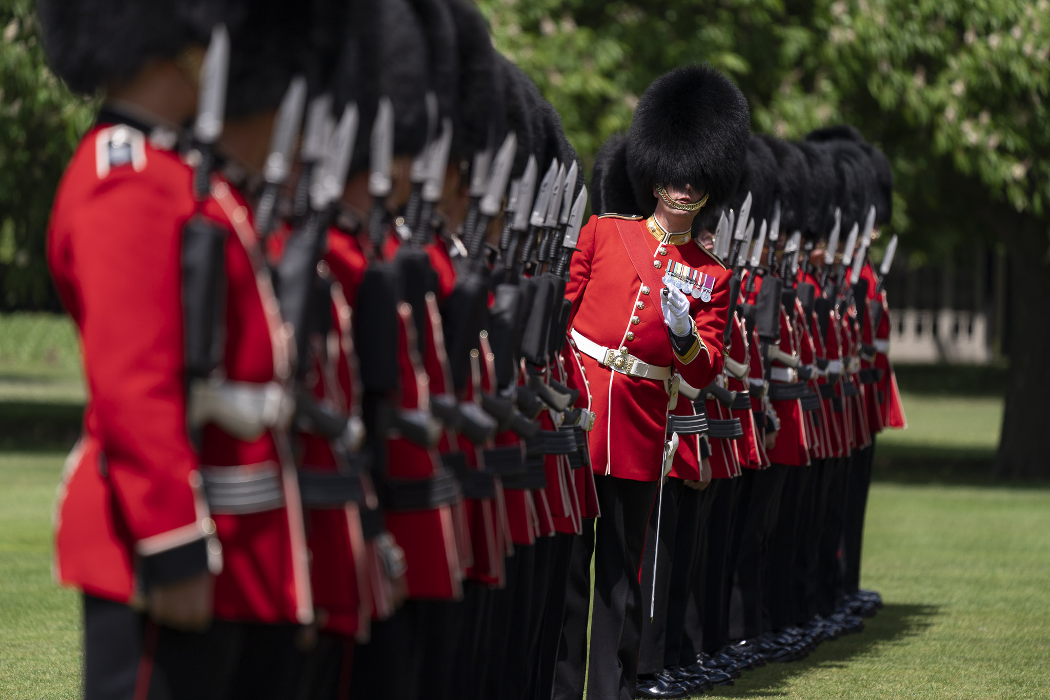 Free download high resolution image - free image free photo free stock image public domain picture -The Grenadier Guards at the palace in London