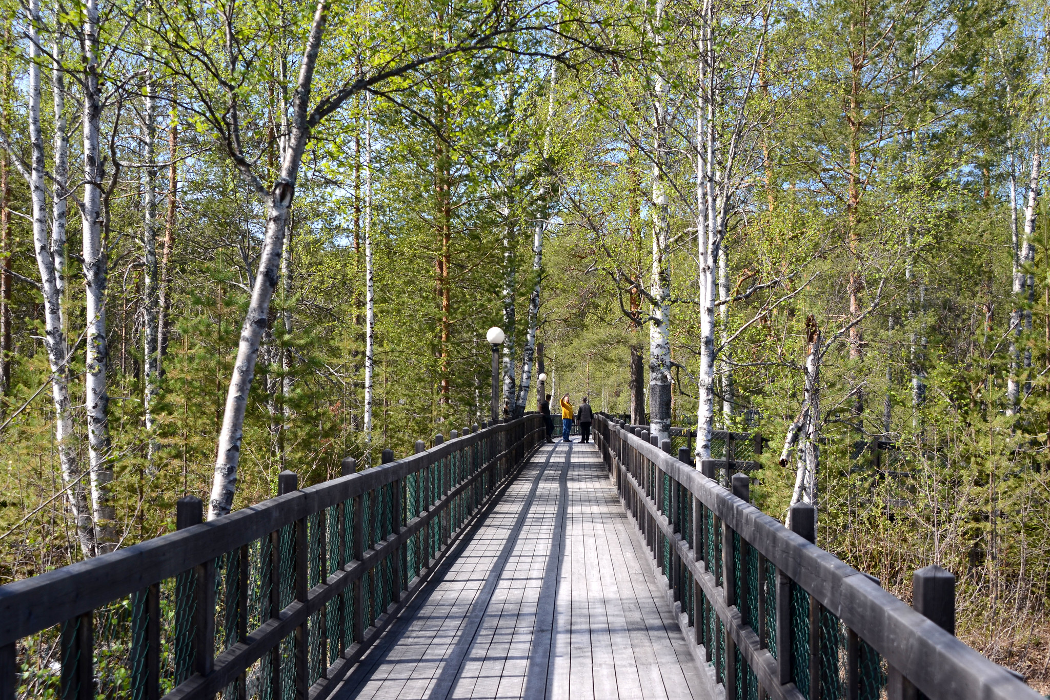 Free download high resolution image - free image free photo free stock image public domain picture -Scenic Shots around Sweden