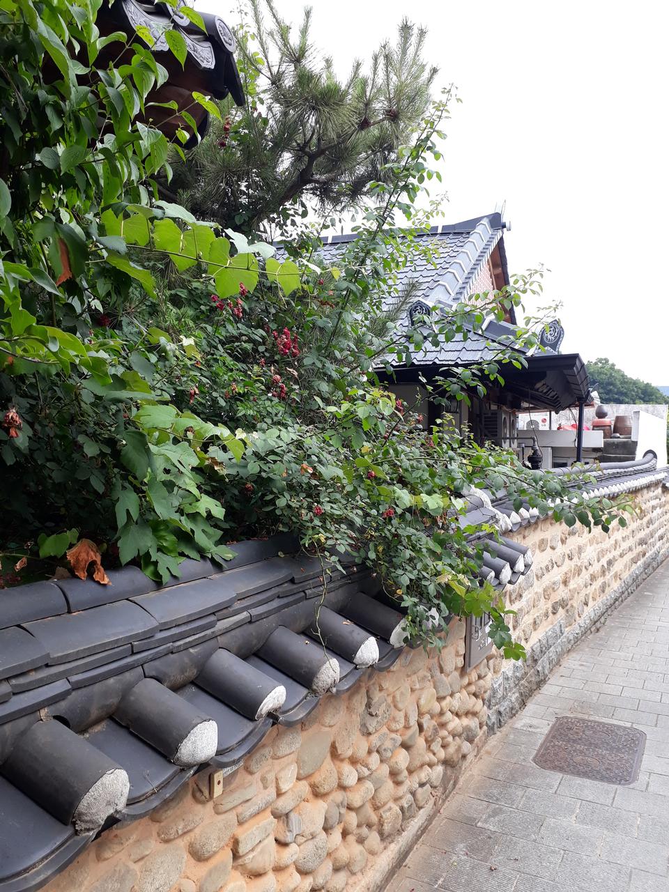 Free download high resolution image - free image free photo free stock image public domain picture  Jeonju Hanok Village in Jeonju, South Korea