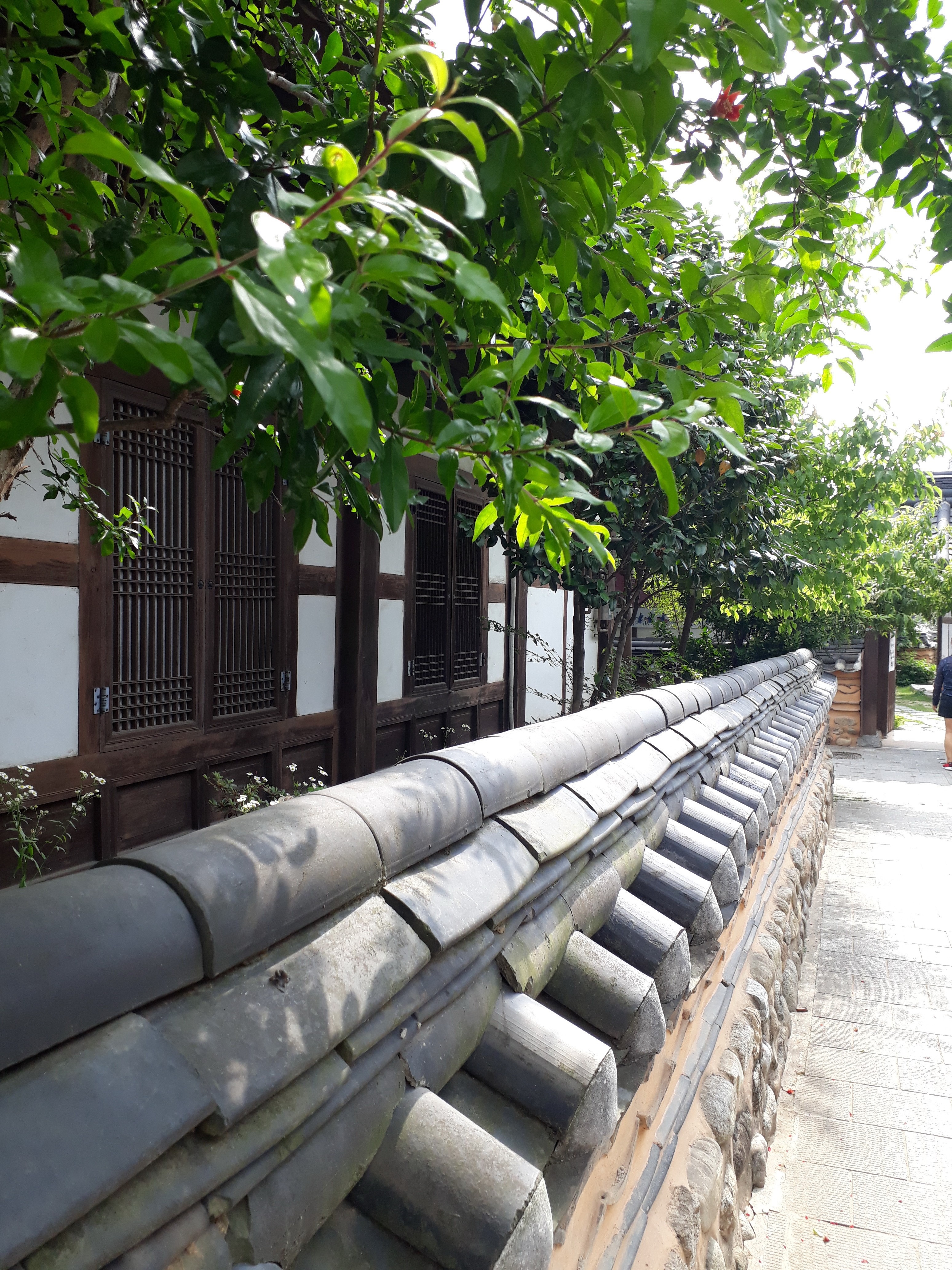 Free download high resolution image - free image free photo free stock image public domain picture -Jeonju Hanok Village in Jeonju, South Korea