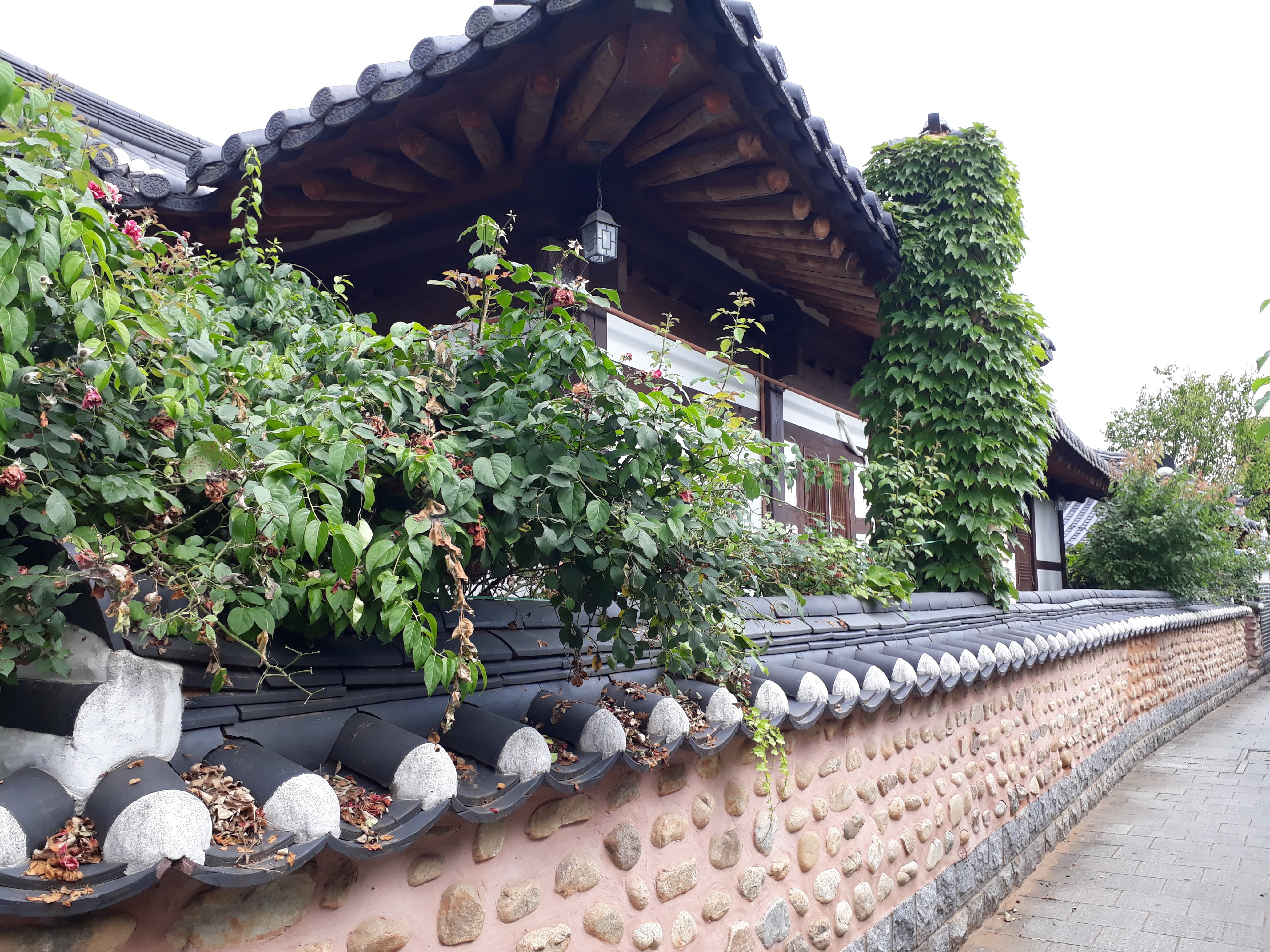 Free download high resolution image - free image free photo free stock image public domain picture -Jeonju Hanok Village in Jeonju, South Korea