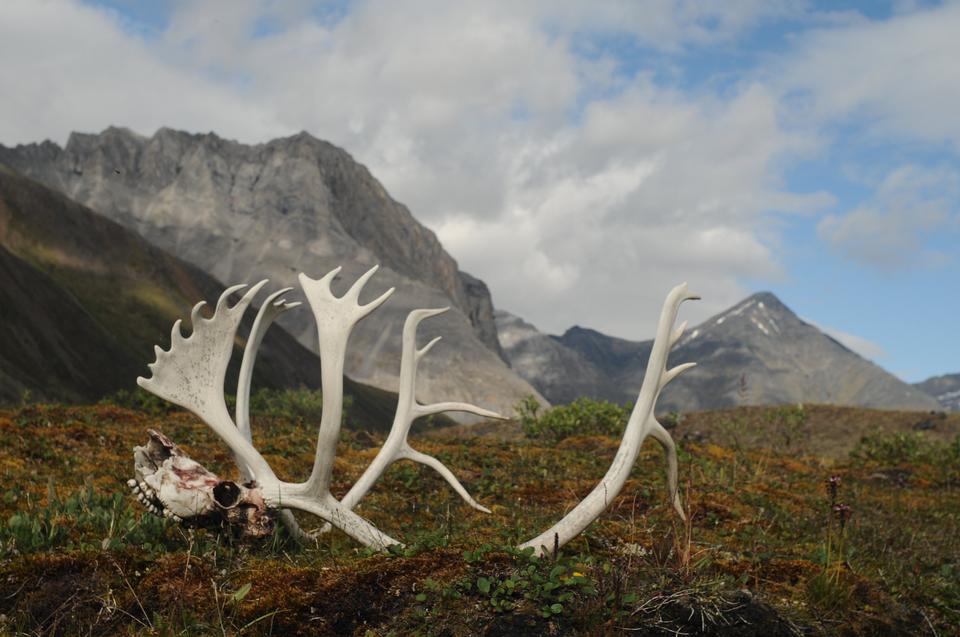 Free download high resolution image - free image free photo free stock image public domain picture  Gates of the Arctic National Park and Preserve