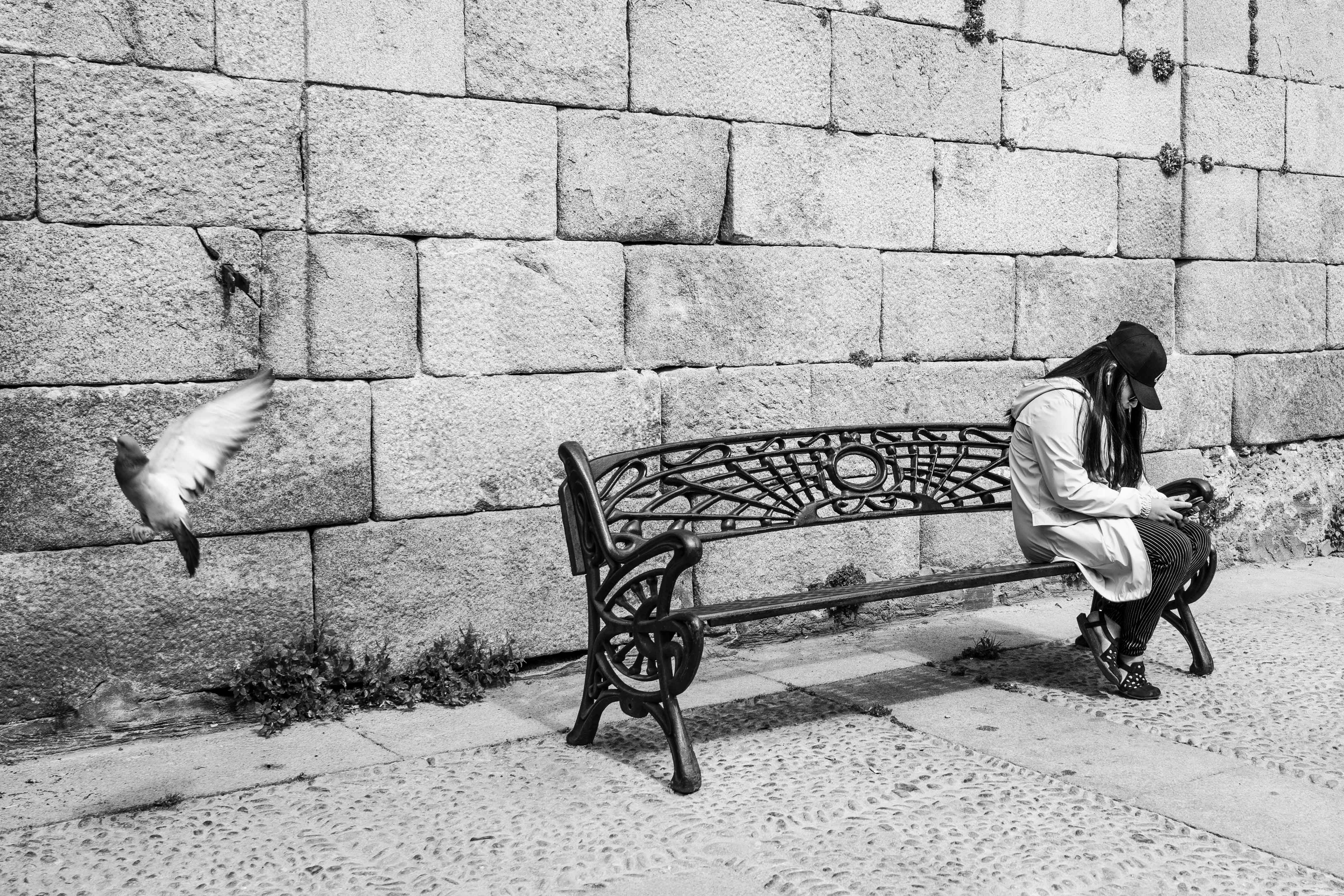 Free download high resolution image - free image free photo free stock image public domain picture -Single woman sitting on park bench