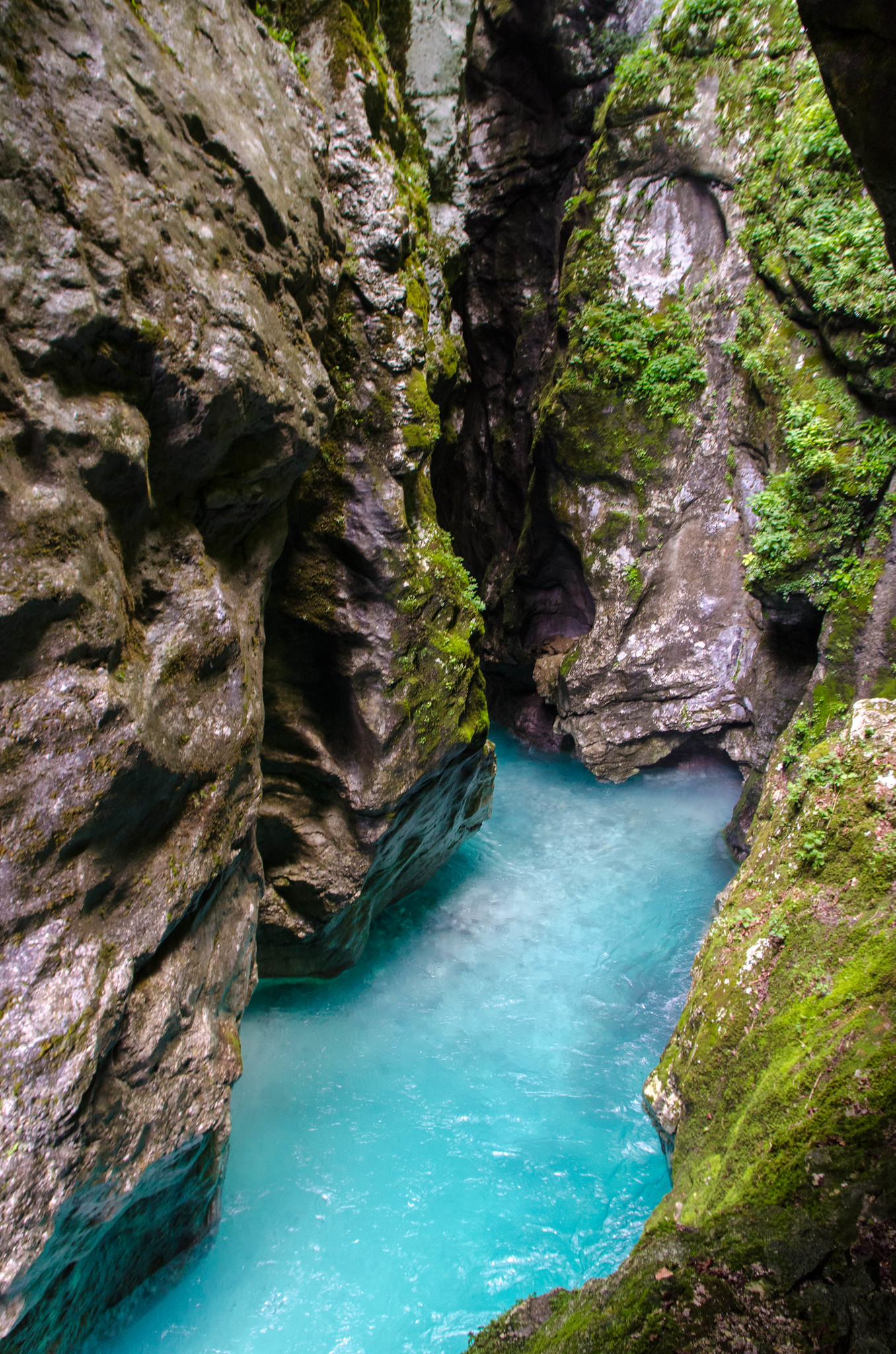 Free download high resolution image - free image free photo free stock image public domain picture -River rafting in the forests