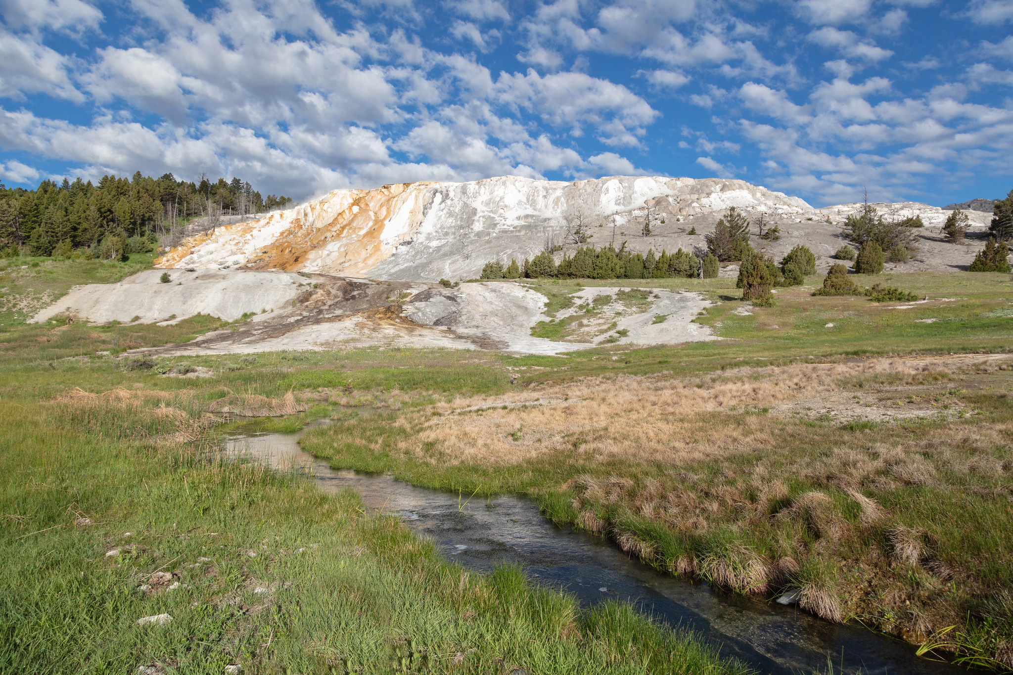 Free download high resolution image - free image free photo free stock image public domain picture -Canary Spring in Yellowstone National Park