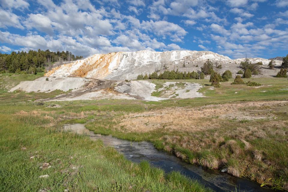 Free download high resolution image - free image free photo free stock image public domain picture  Canary Spring in Yellowstone National Park