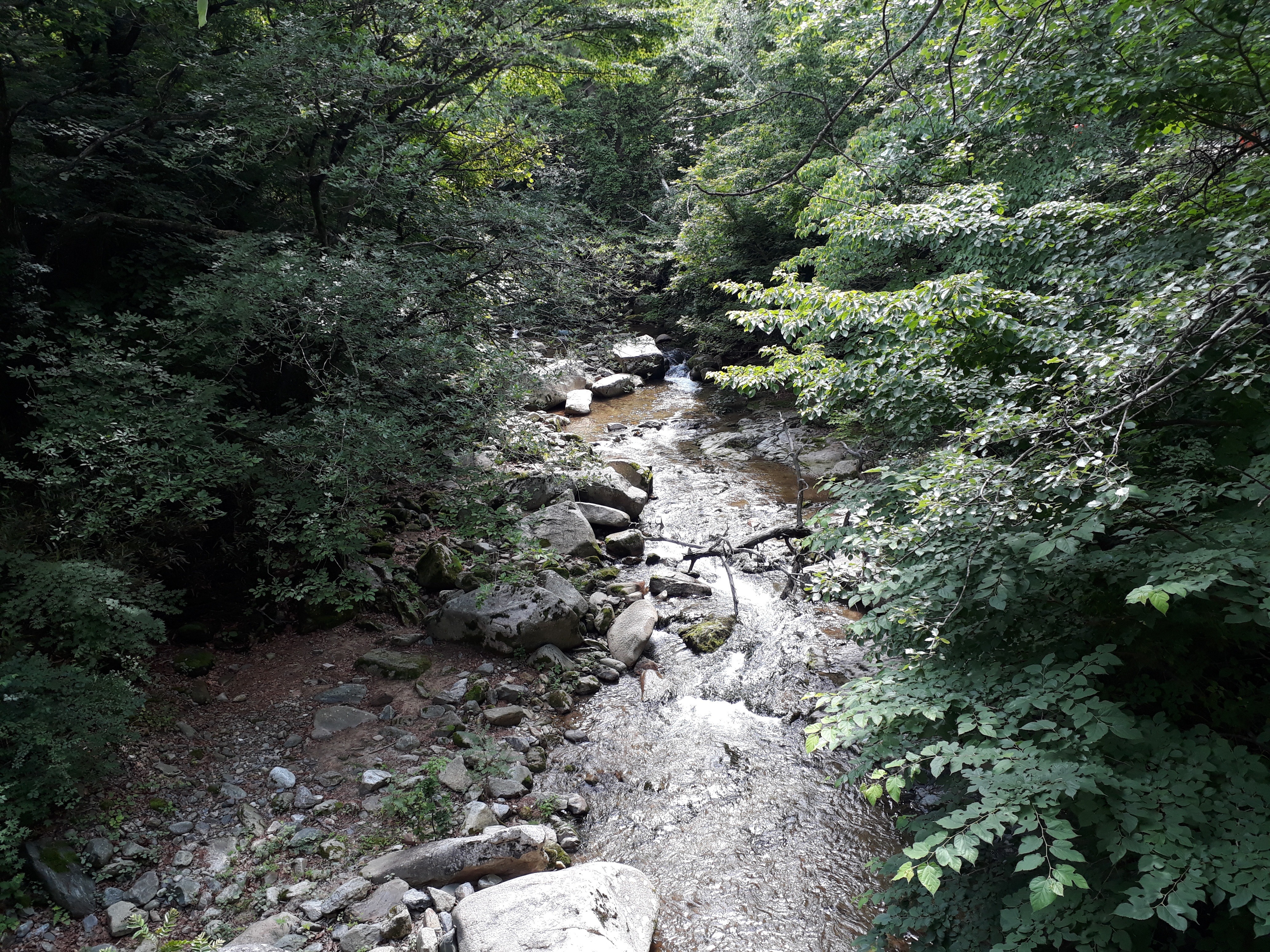 Free download high resolution image - free image free photo free stock image public domain picture -Gayasan National Park in South Korea