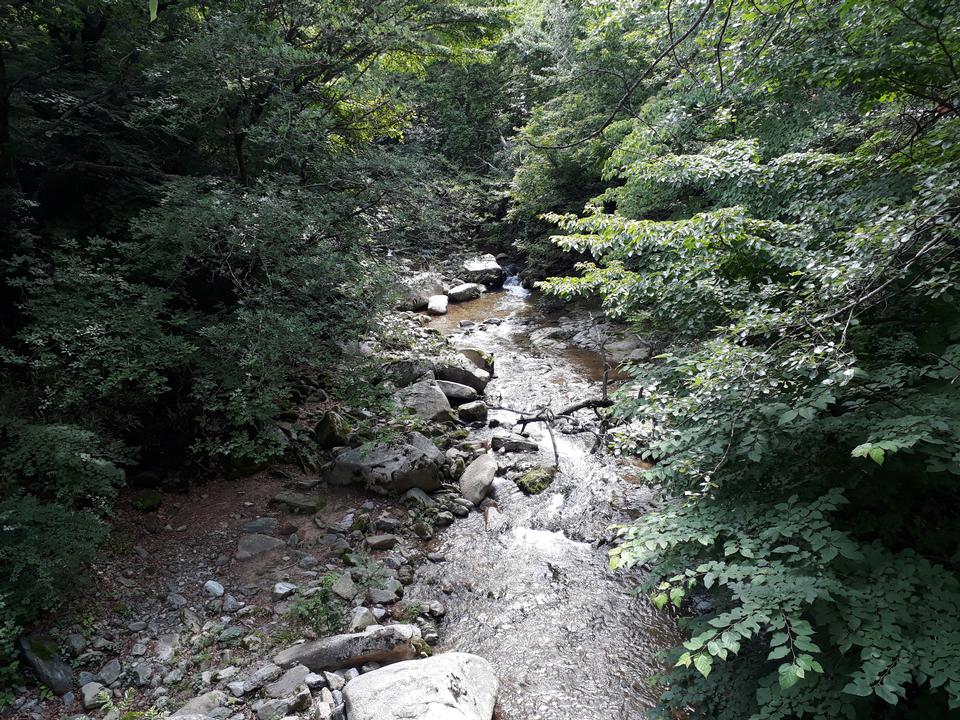 Free download high resolution image - free image free photo free stock image public domain picture  Gayasan National Park in South Korea