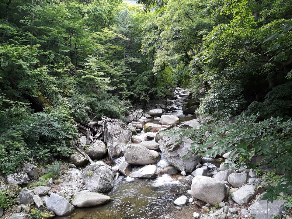 Free download high resolution image - free image free photo free stock image public domain picture  Gayasan National Park in South Korea