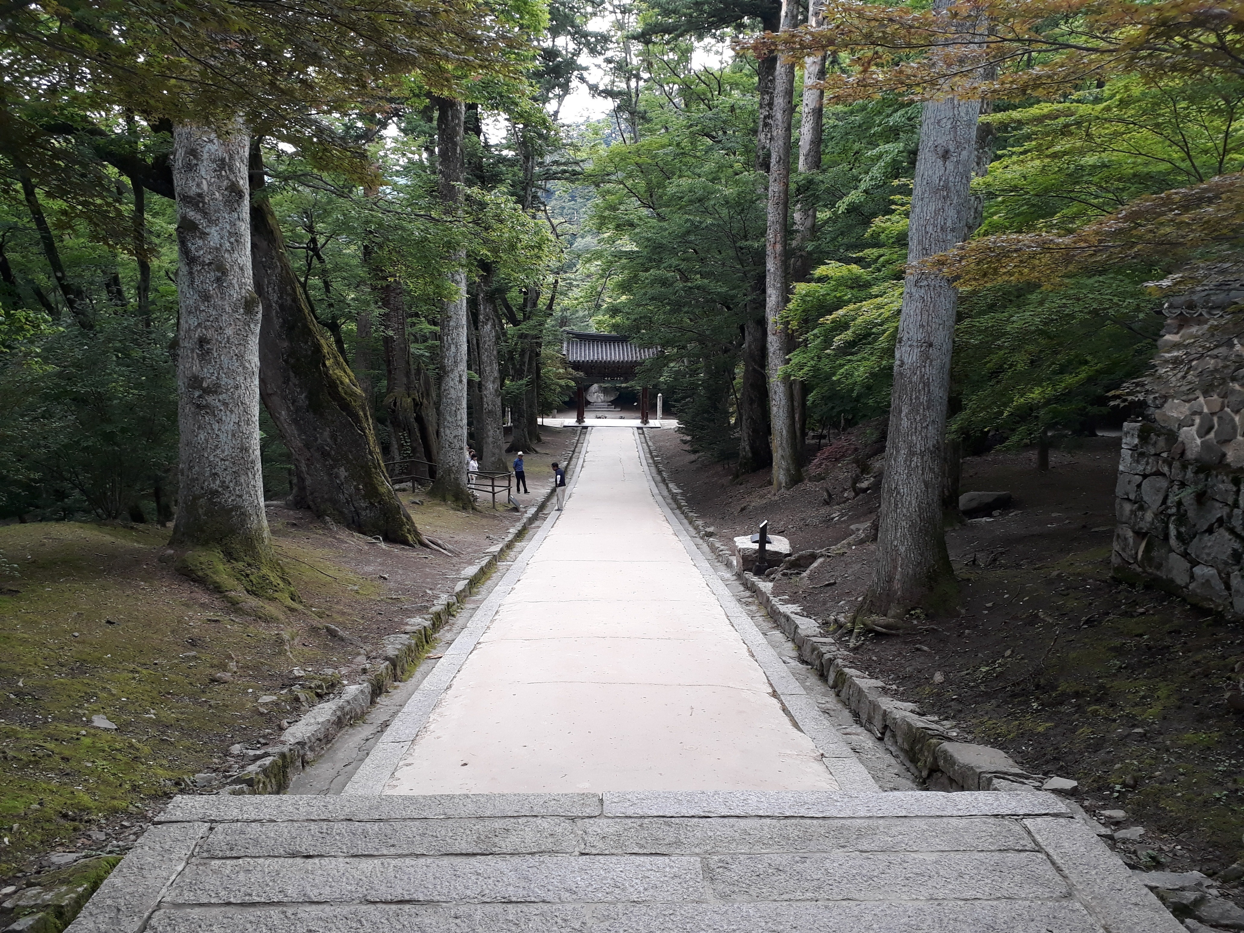 Free download high resolution image - free image free photo free stock image public domain picture -Haeinsa temple in Gayasan National Park