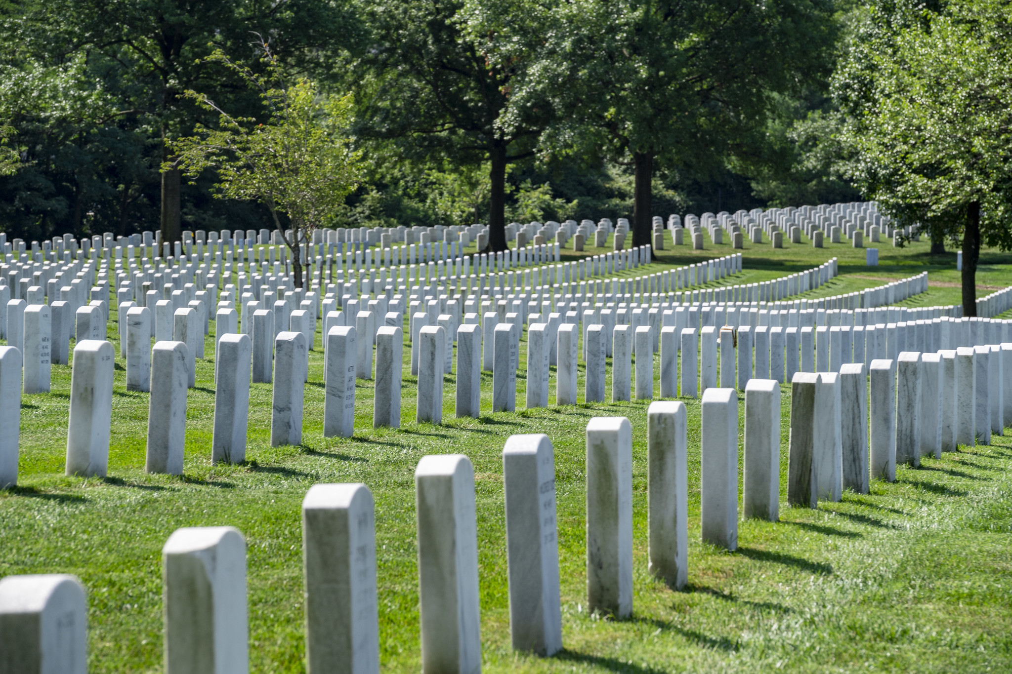 Free download high resolution image - free image free photo free stock image public domain picture -Arlington National Cemetery