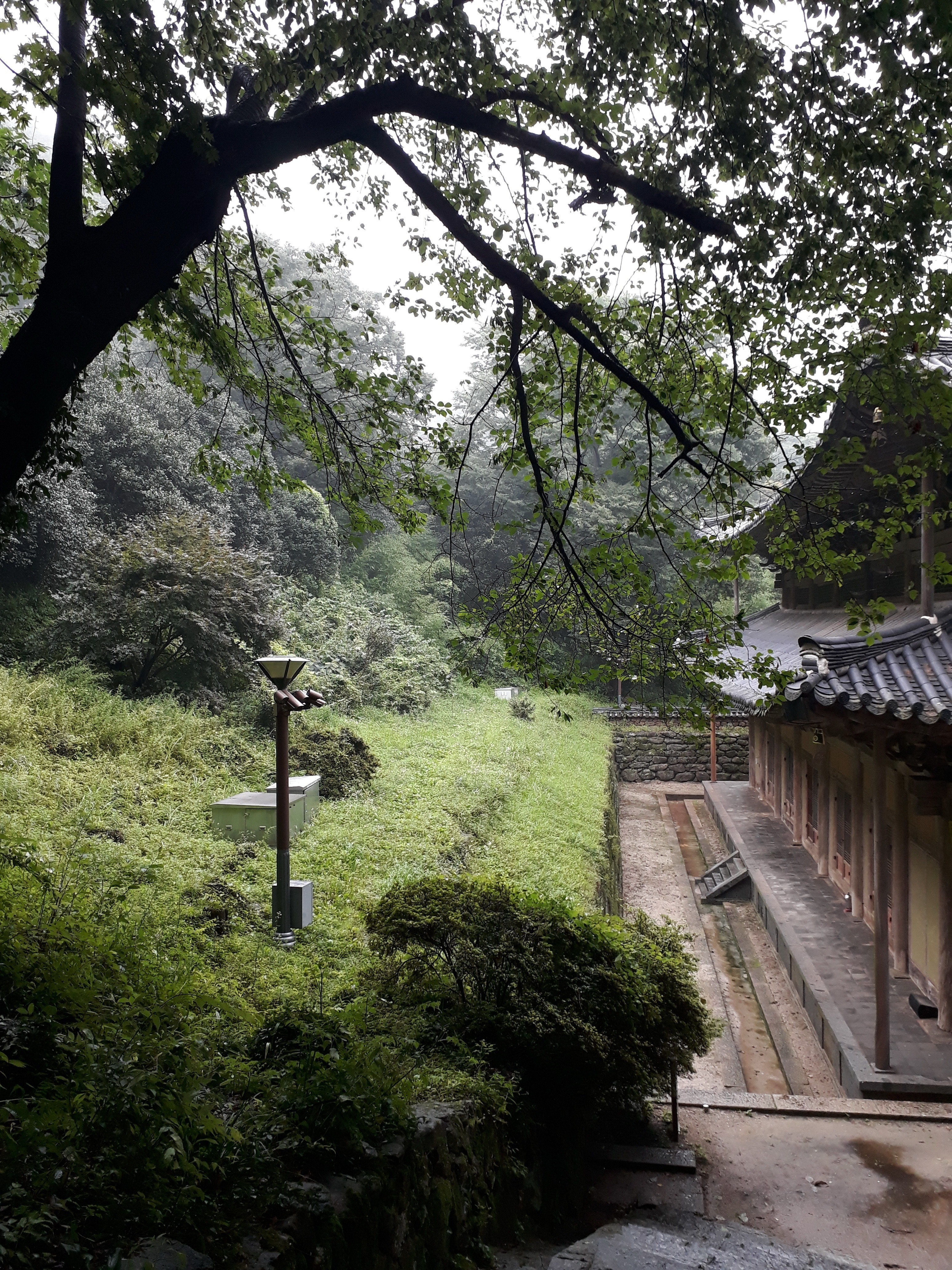 Free download high resolution image - free image free photo free stock image public domain picture -Hwaeomsa head temple in Gurye South Korea