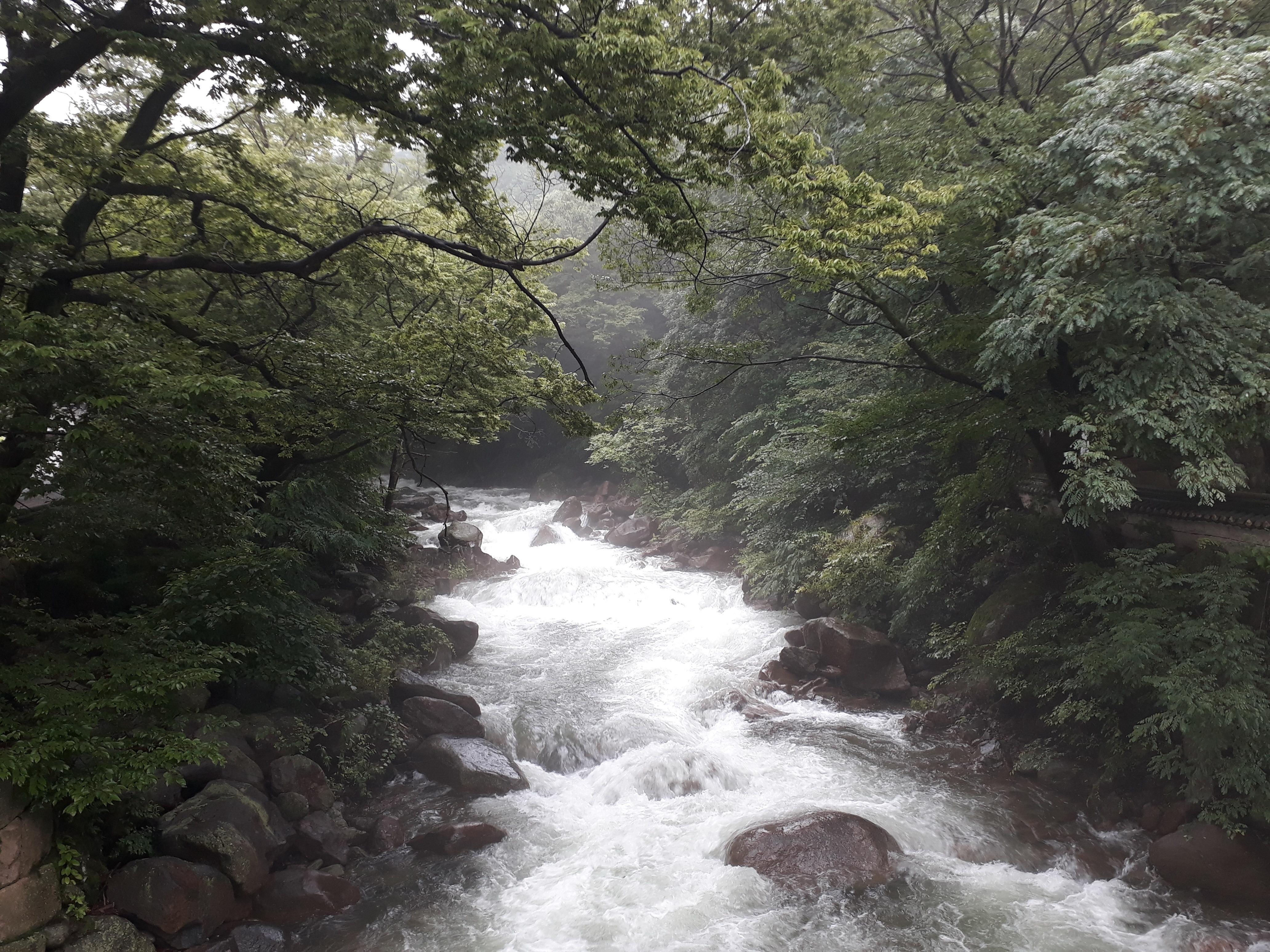 Free download high resolution image - free image free photo free stock image public domain picture -Jirisan National Park