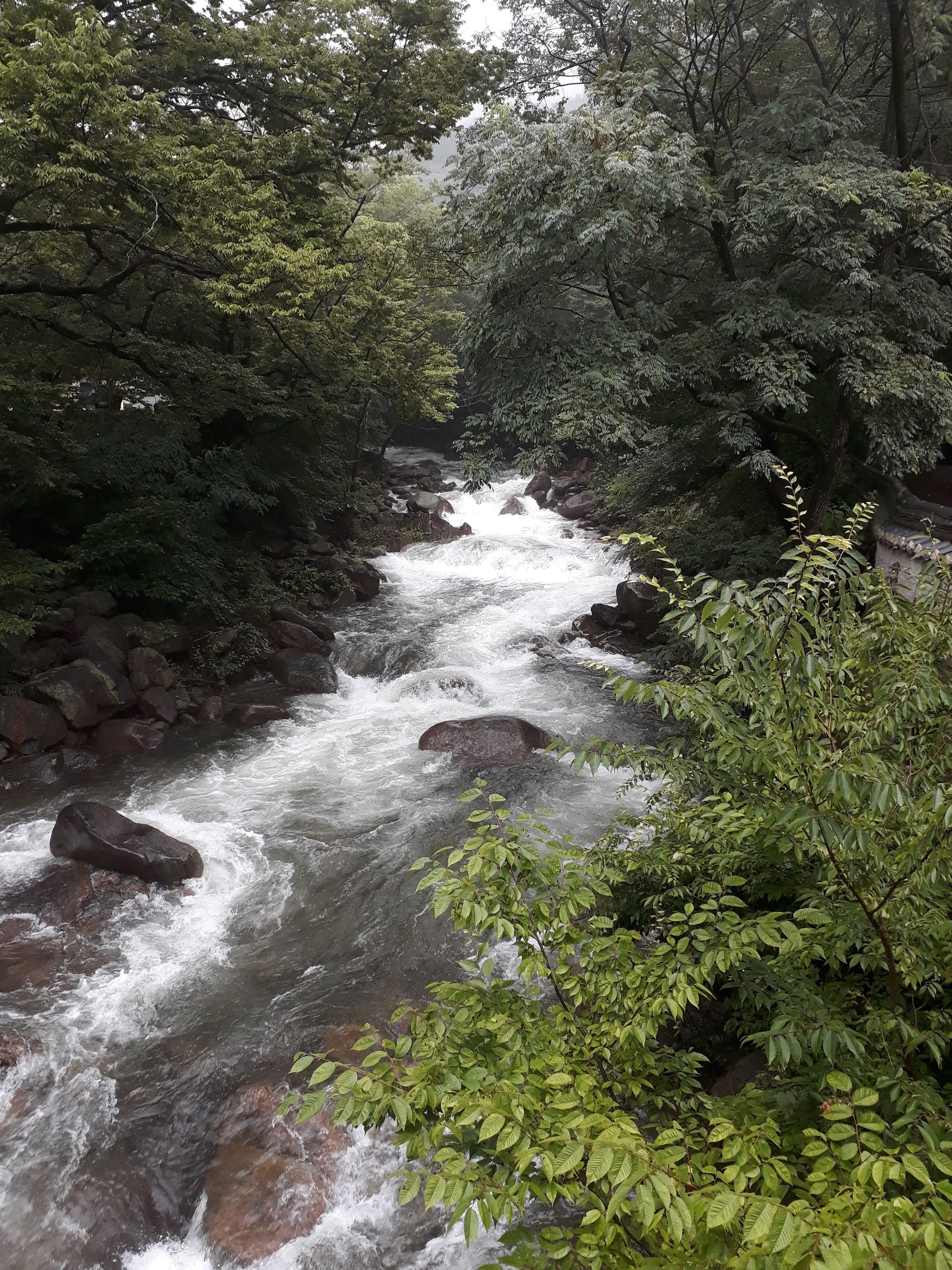 Free download high resolution image - free image free photo free stock image public domain picture -Jirisan National Park