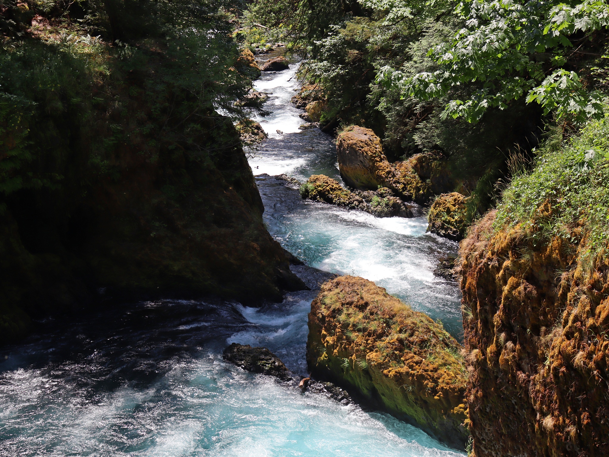 Free download high resolution image - free image free photo free stock image public domain picture -Spirit Falls on Little White Salmon River in Washington