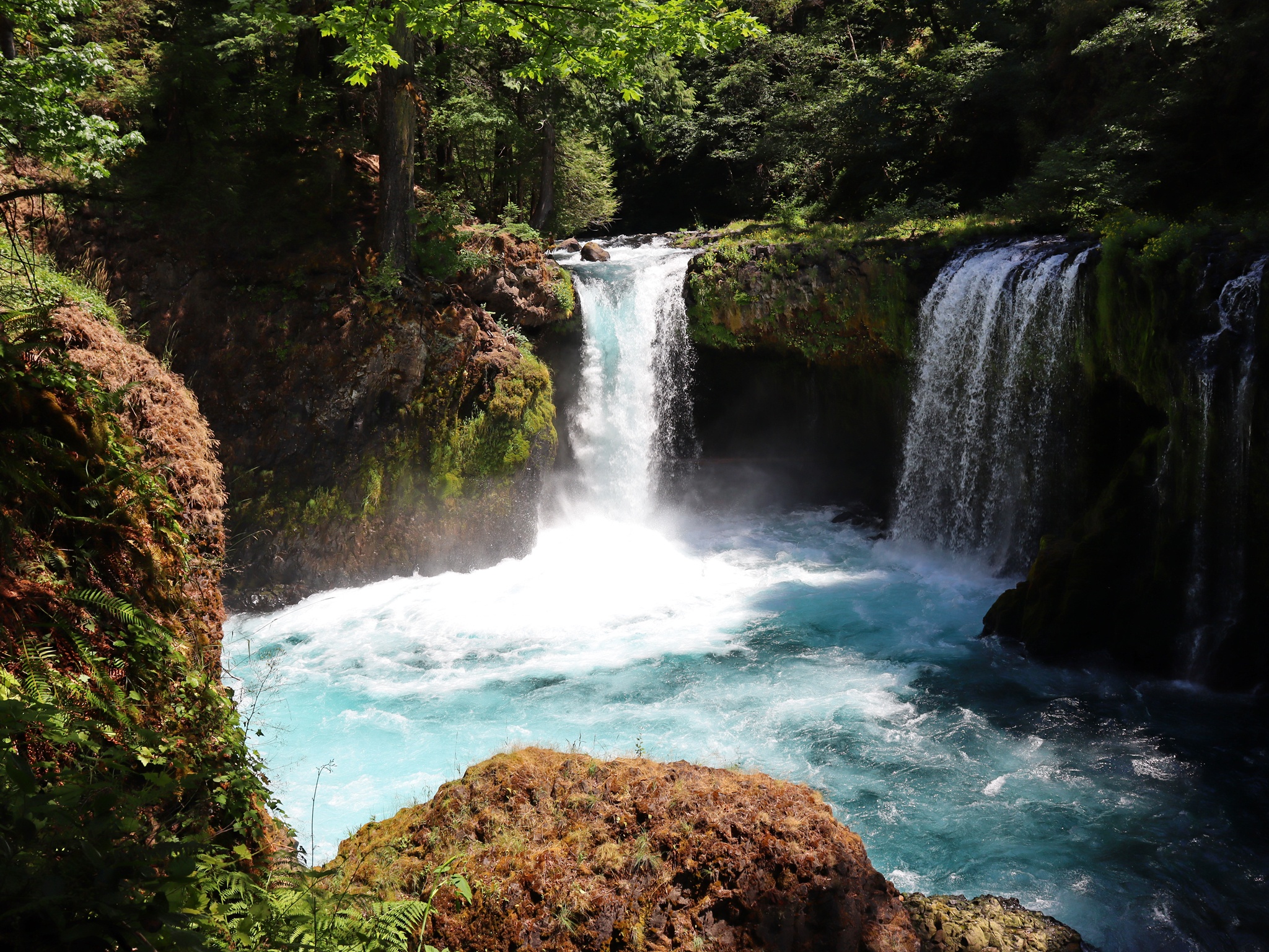 Free download high resolution image - free image free photo free stock image public domain picture -Spirit Falls on Little White Salmon River in Washington