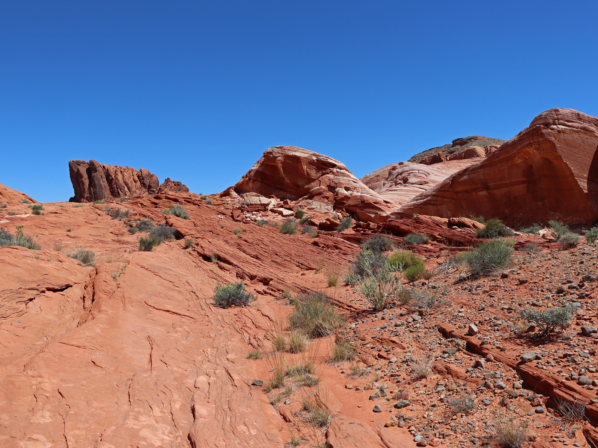 Free download high resolution image - free image free photo free stock image public domain picture -Valley of Fire State Park in Nevada