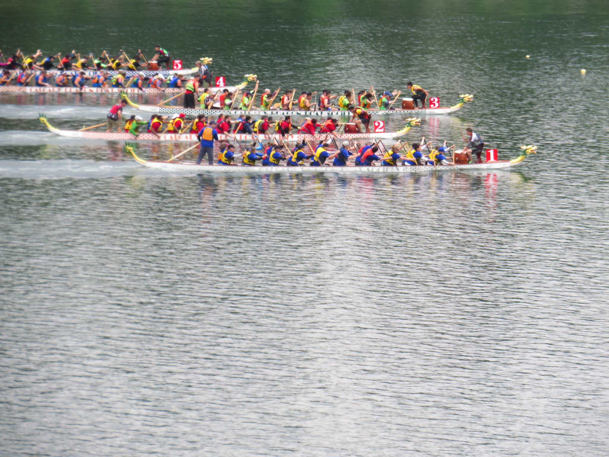 Free download high resolution image - free image free photo free stock image public domain picture -Dragon Boat Races