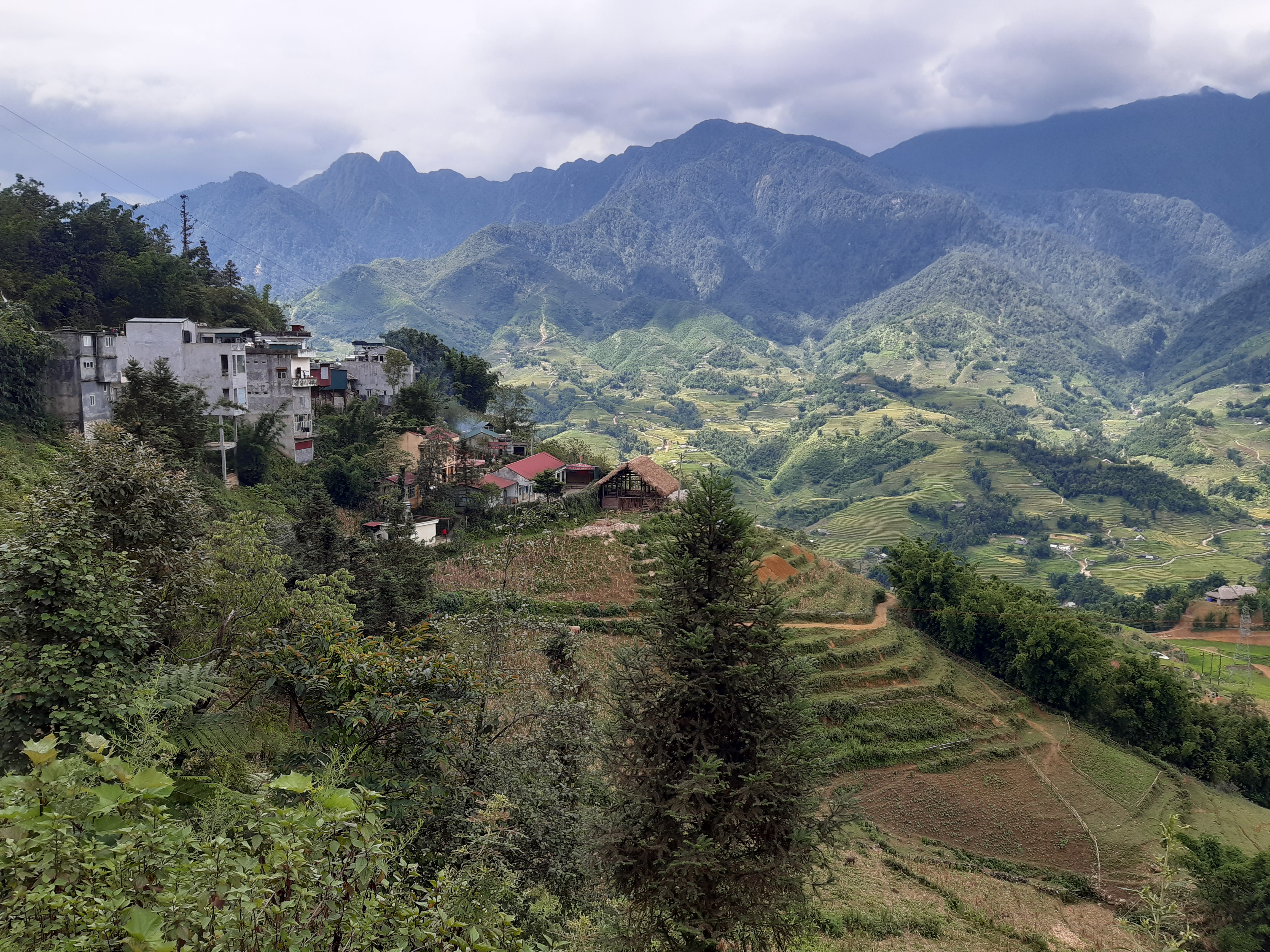 Free download high resolution image - free image free photo free stock image public domain picture -Mu Cang Chai, terraced rice field landscape