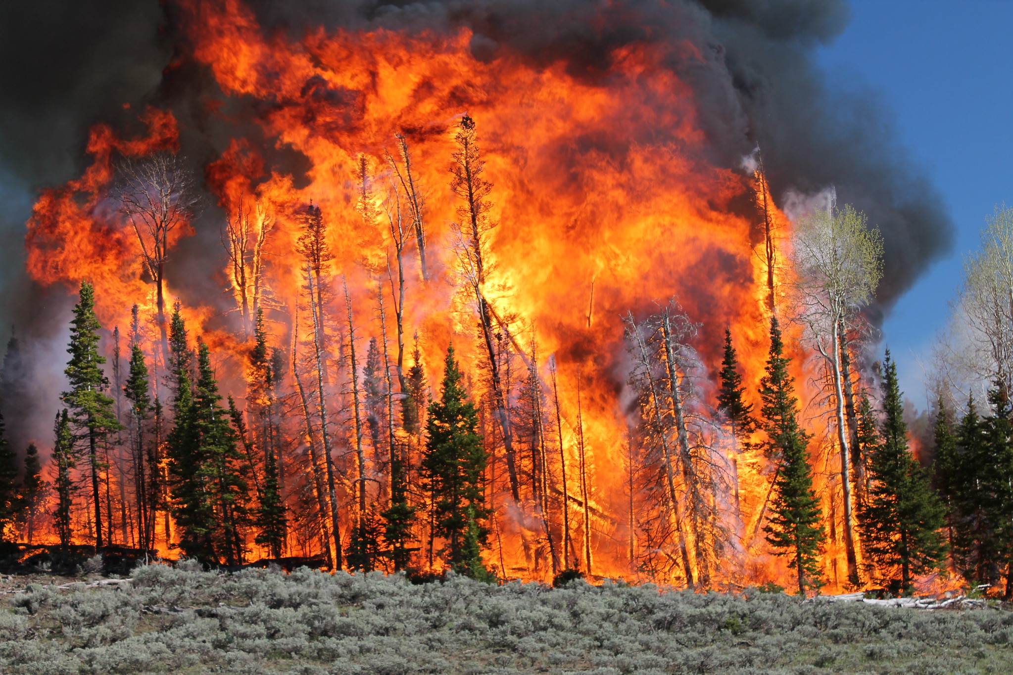 Free download high resolution image - free image free photo free stock image public domain picture -Flames and smoke rise from the South Monroe