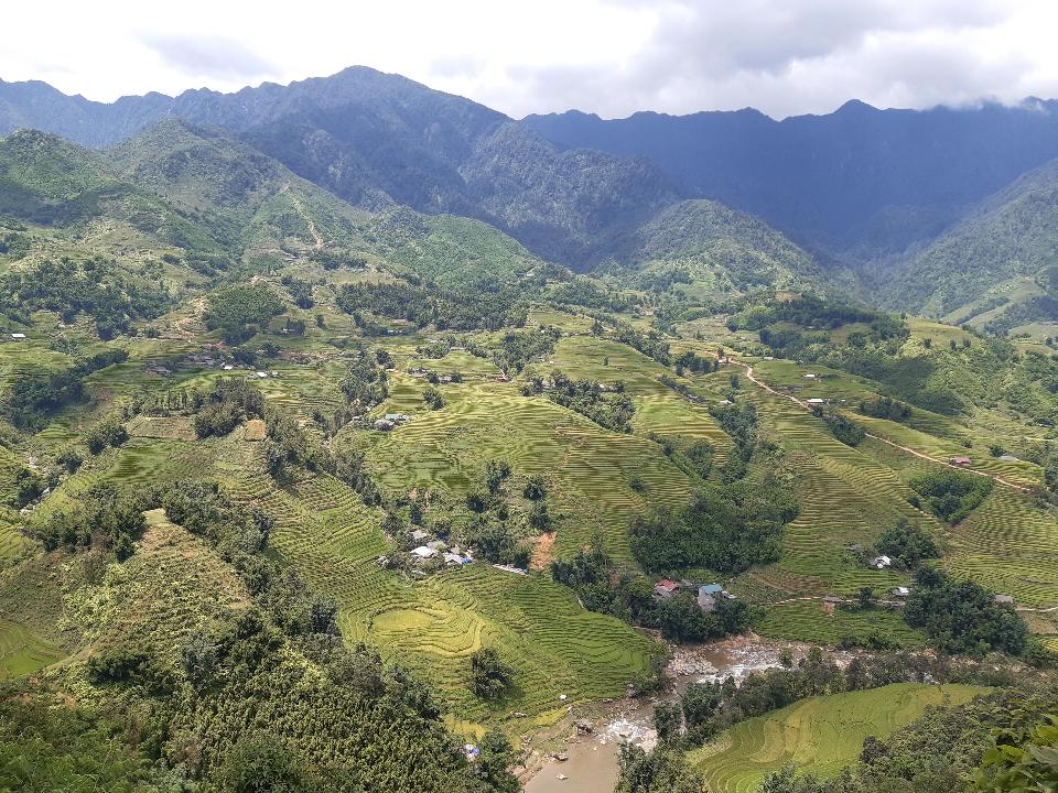 Free download high resolution image - free image free photo free stock image public domain picture  Mu Cang Chai, terraced rice field landscape