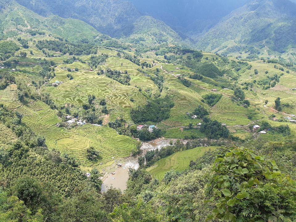 Free download high resolution image - free image free photo free stock image public domain picture  Mu Cang Chai, terraced rice field landscape