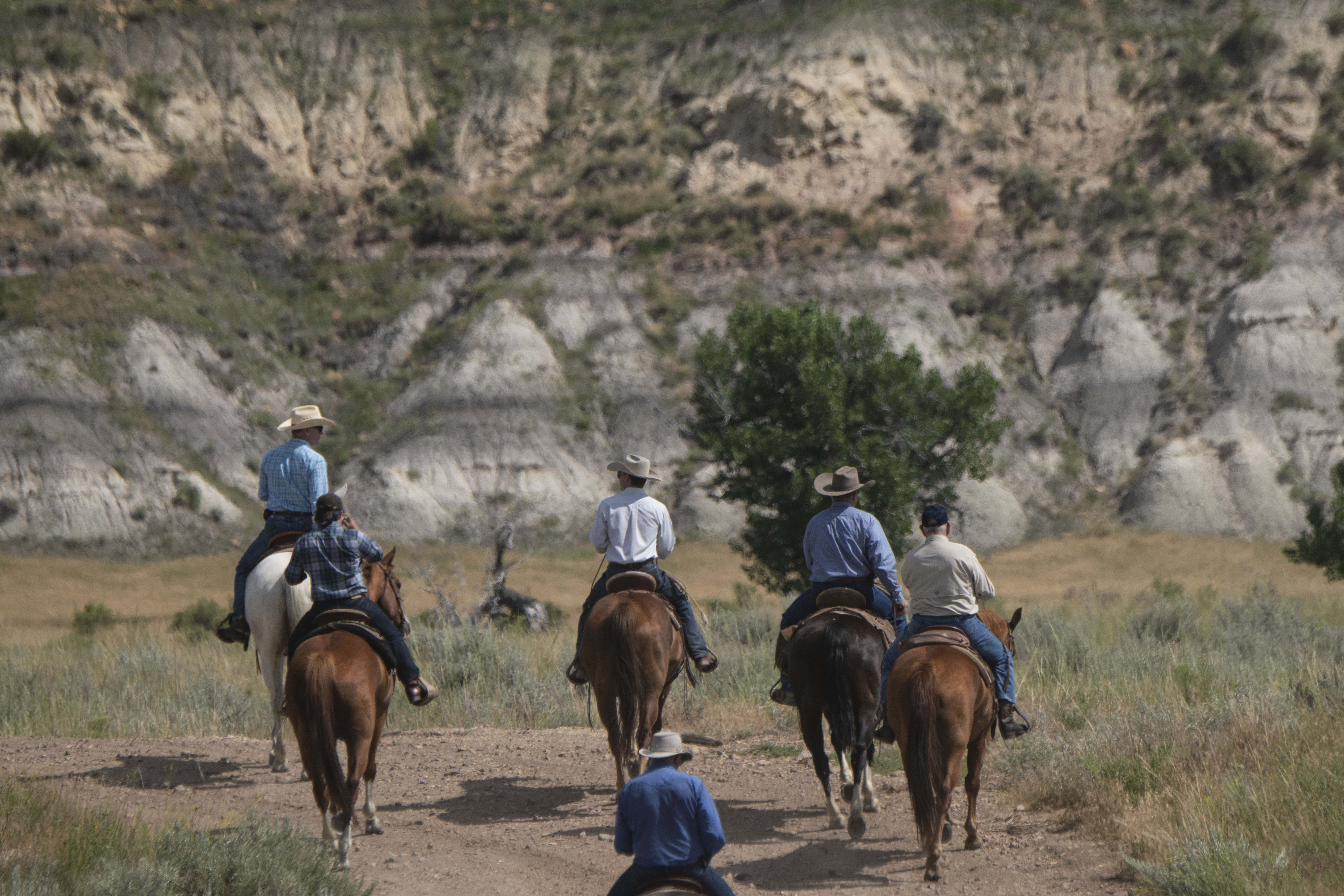 Free download high resolution image - free image free photo free stock image public domain picture -A group of young people horseback riding in the grassy field