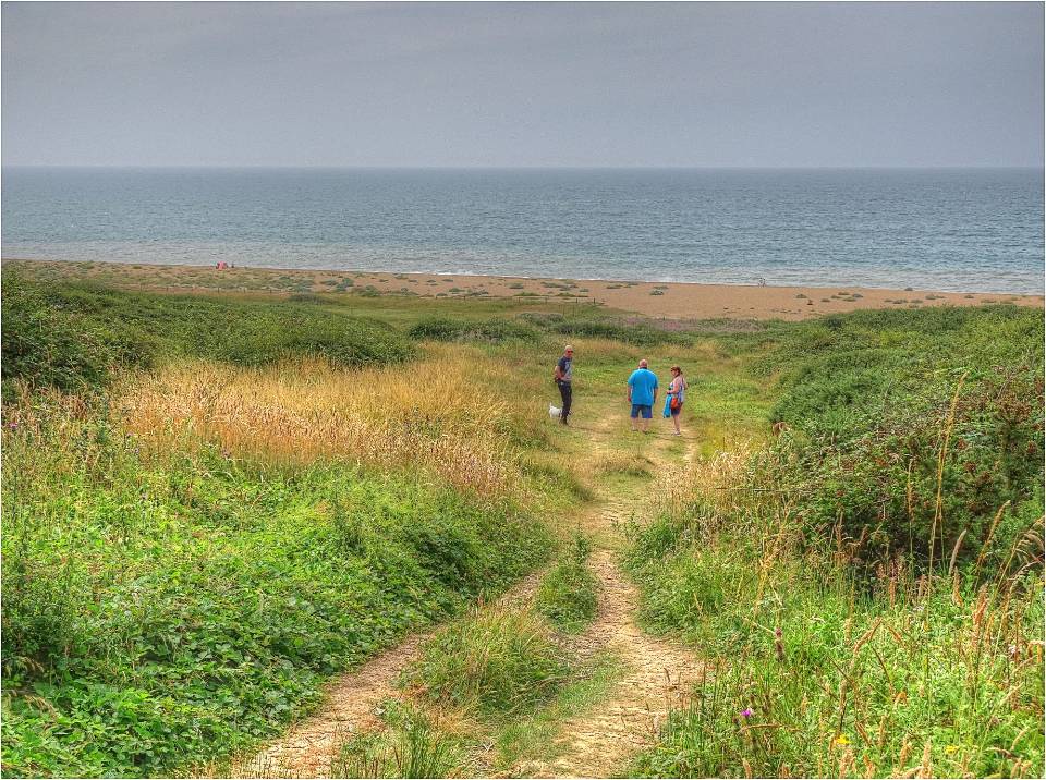 Free download high resolution image - free image free photo free stock image public domain picture  Cogden Beach