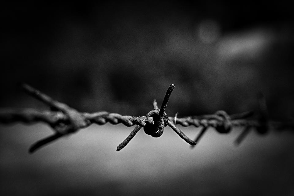 Free download high resolution image - free image free photo free stock image public domain picture  Barbed wire seamless