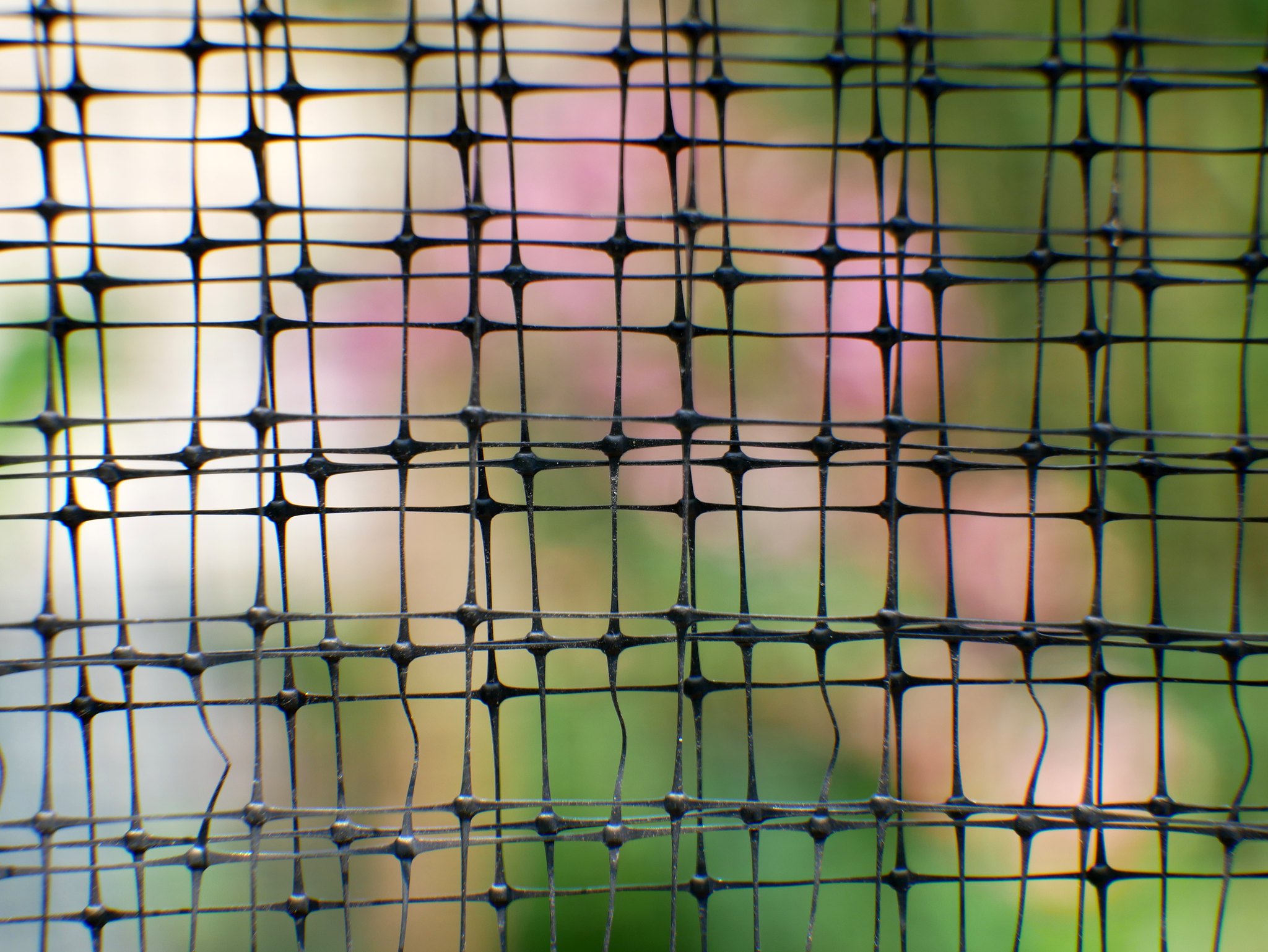 Free download high resolution image - free image free photo free stock image public domain picture -steel garden fence