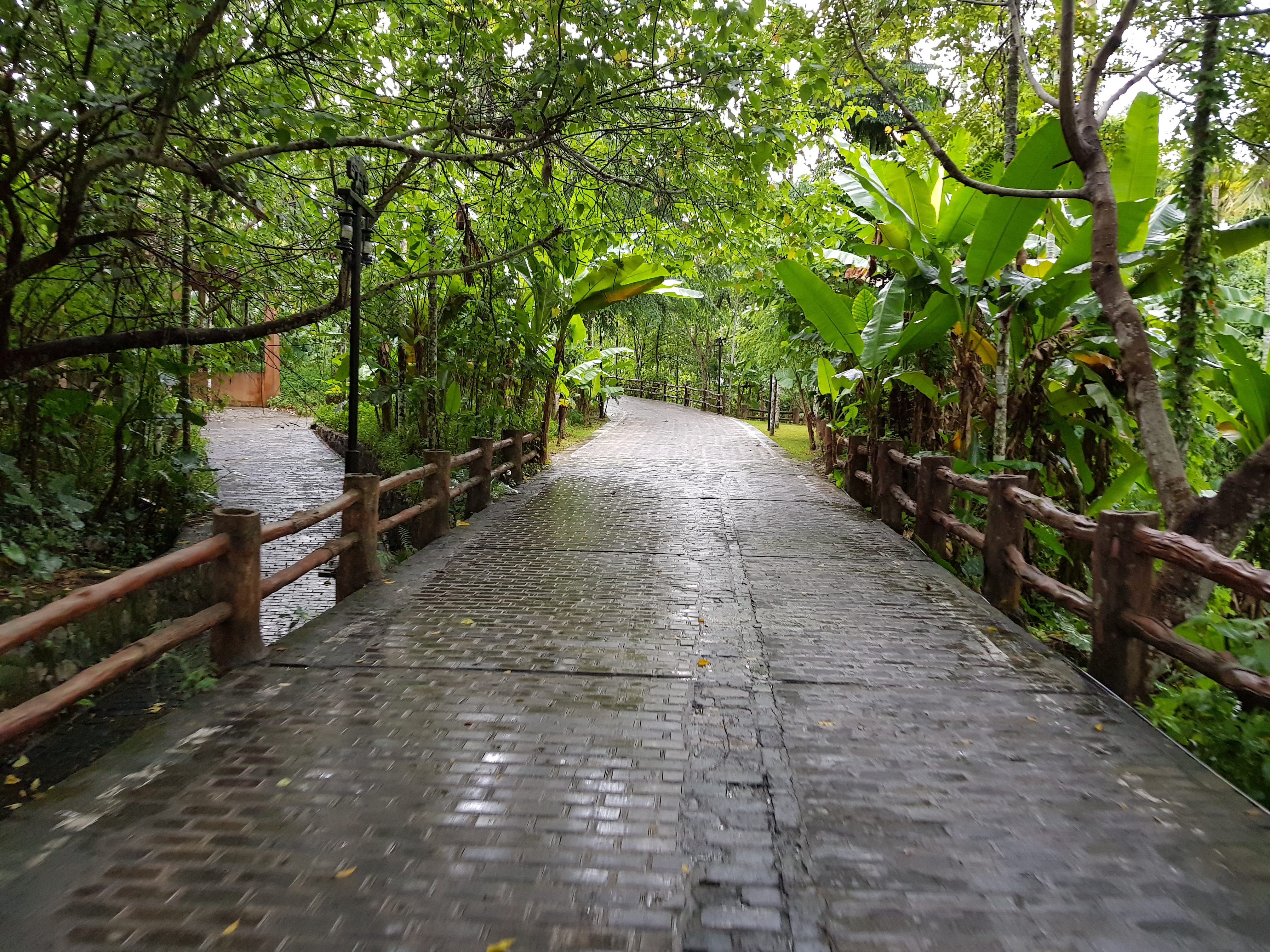 Free download high resolution image - free image free photo free stock image public domain picture -Sanya Li and Miao Village, Hainan, China