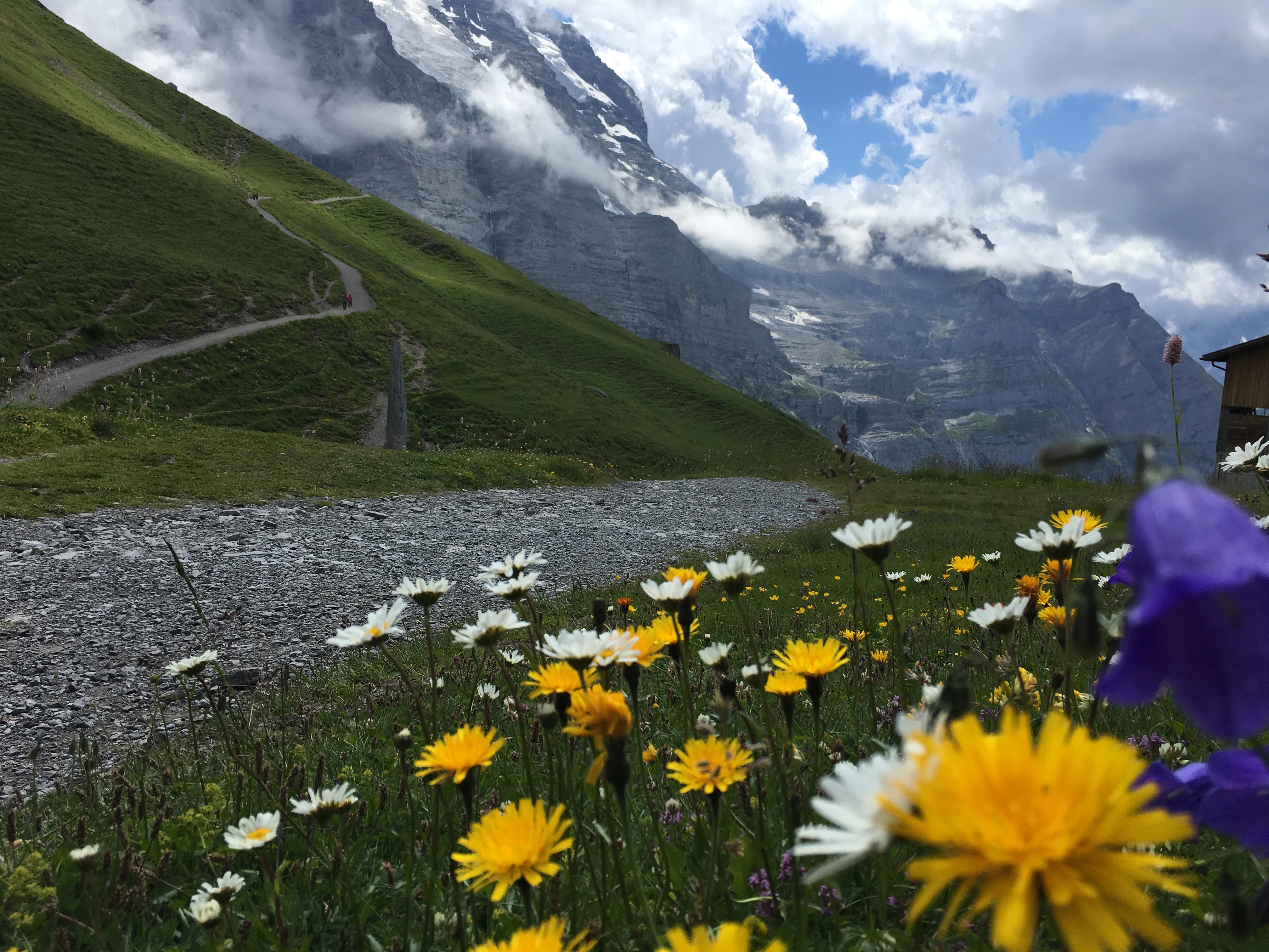 Free download high resolution image - free image free photo free stock image public domain picture -View of Piz Bernina Alps mountains in Switzerland