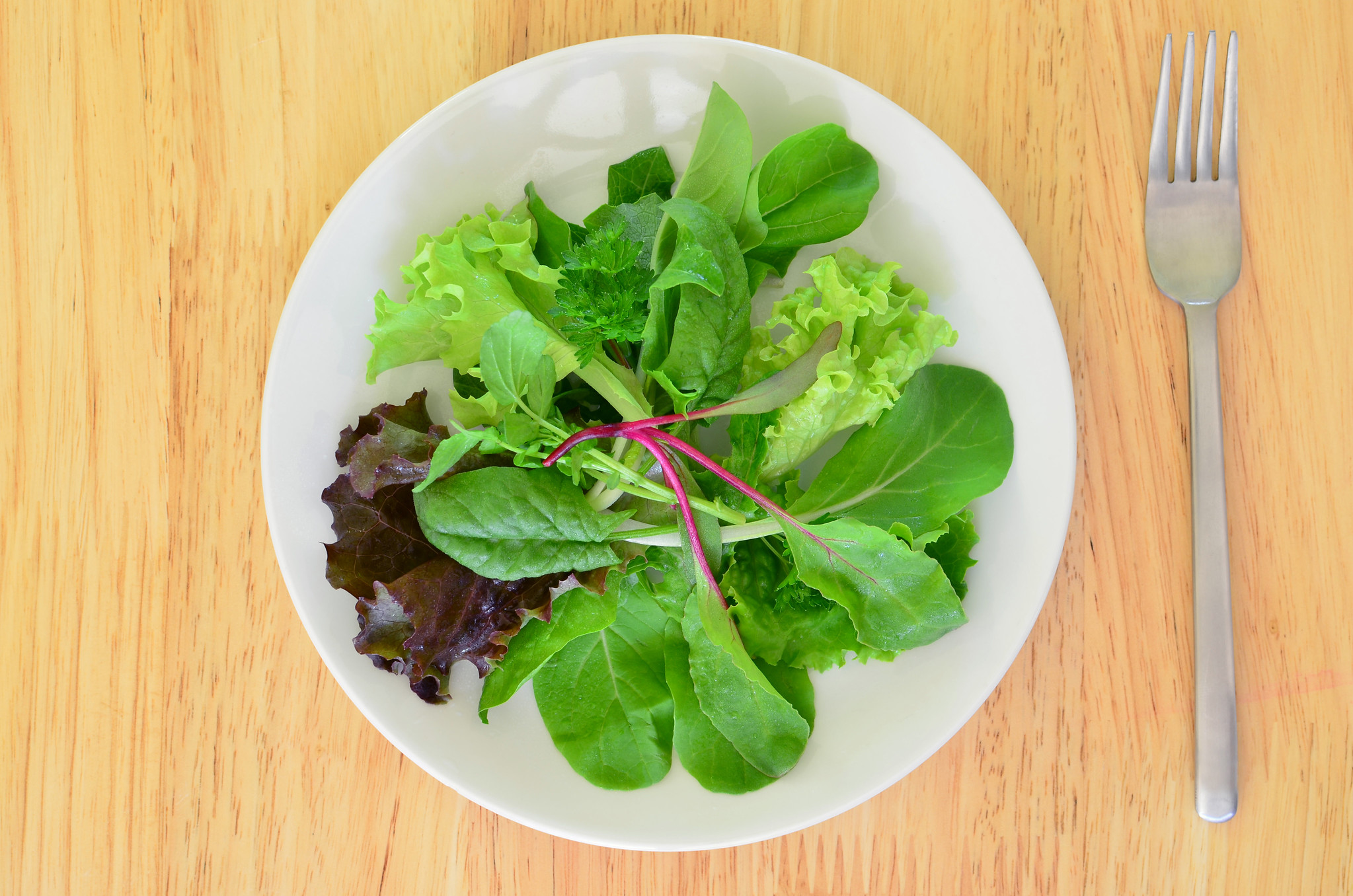 Free download high resolution image - free image free photo free stock image public domain picture -Fresh baby greens in a salad