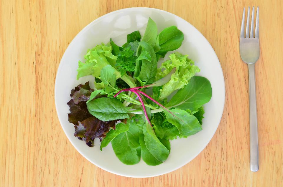 Free download high resolution image - free image free photo free stock image public domain picture  Fresh baby greens in a salad