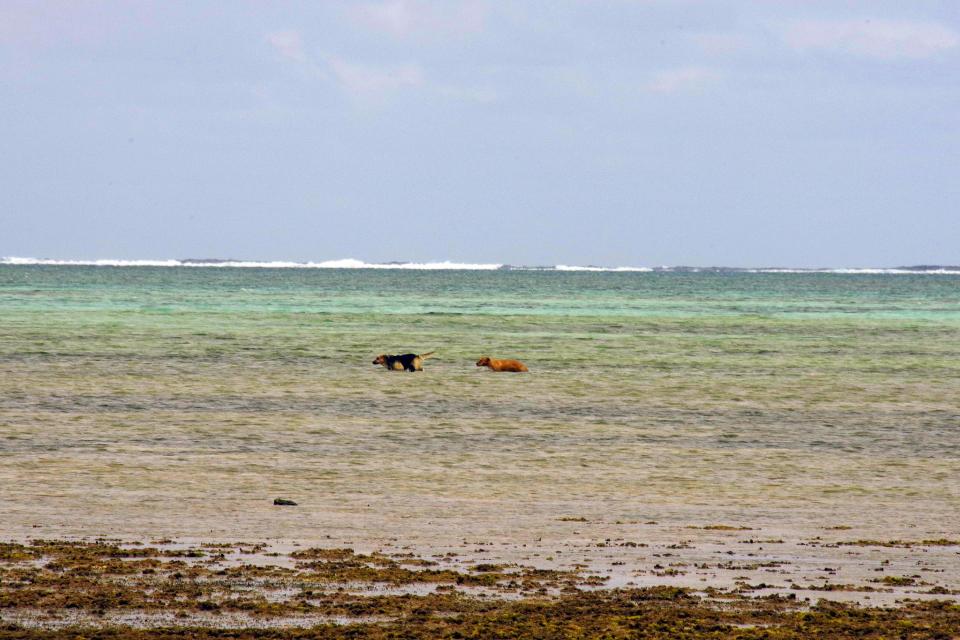 Free download high resolution image - free image free photo free stock image public domain picture  New Caledonia island