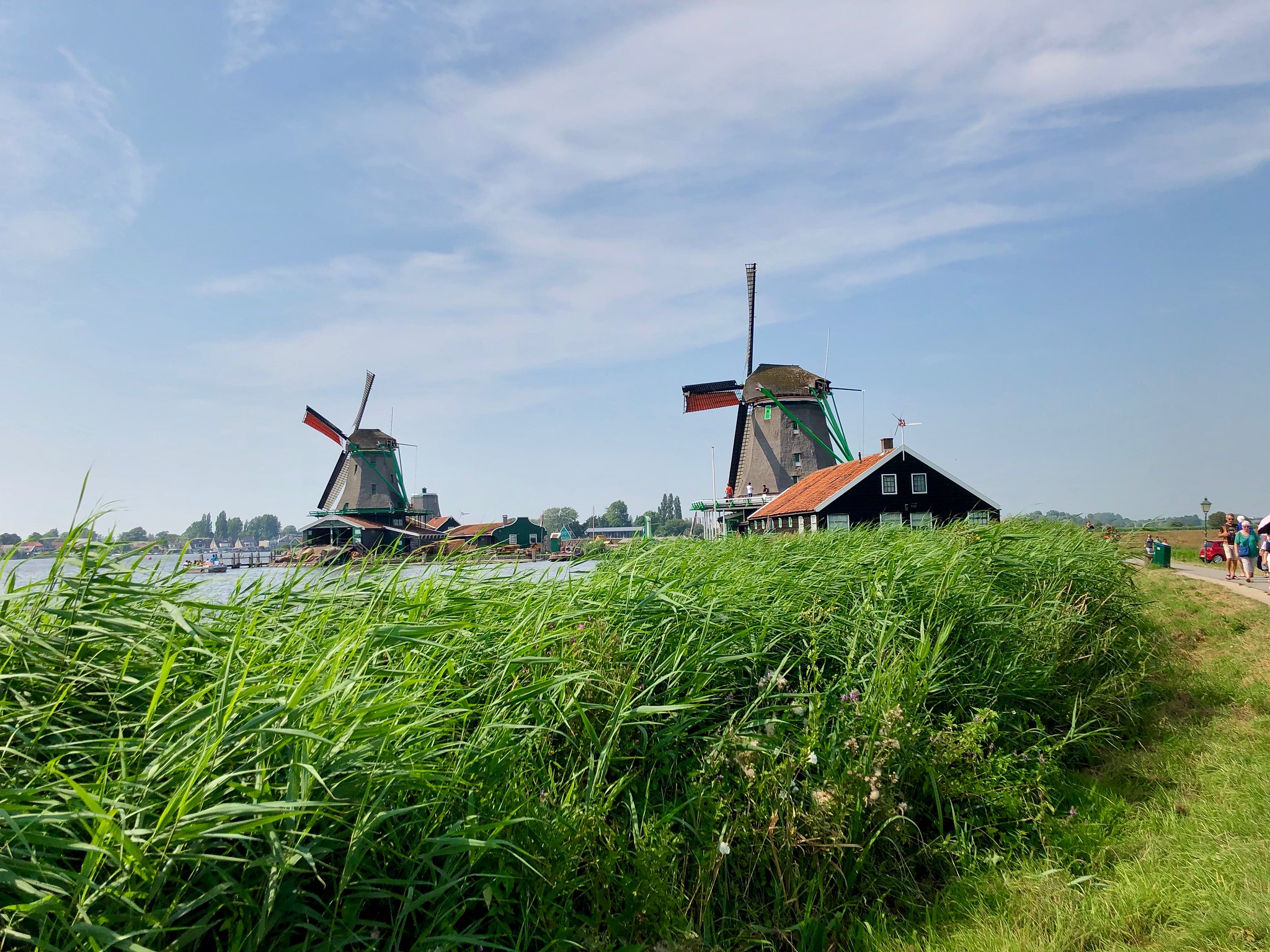 Free download high resolution image - free image free photo free stock image public domain picture -Beautiful Landscape in North Holland, Holland