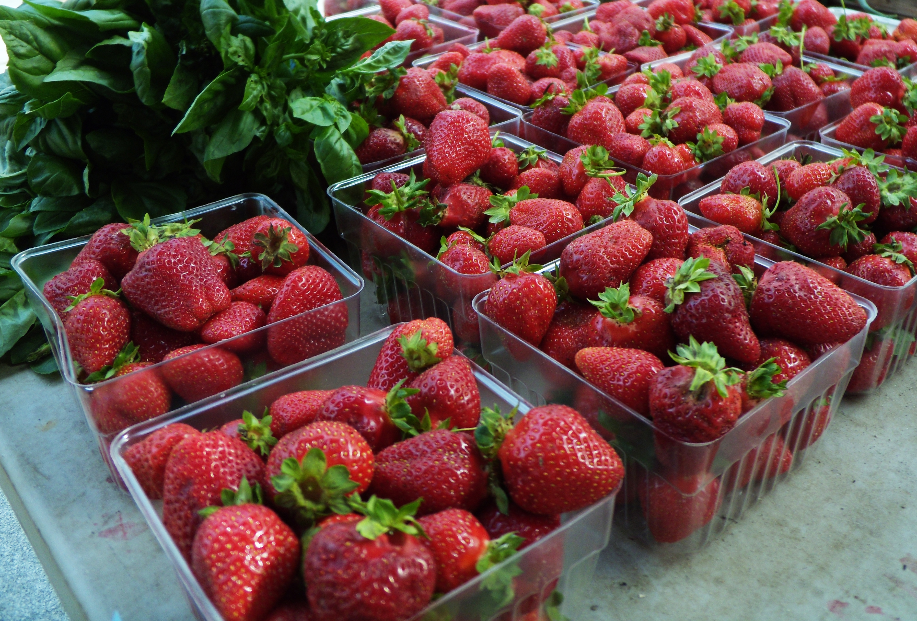 Free download high resolution image - free image free photo free stock image public domain picture -Fresh strawberry at Farmers' Market