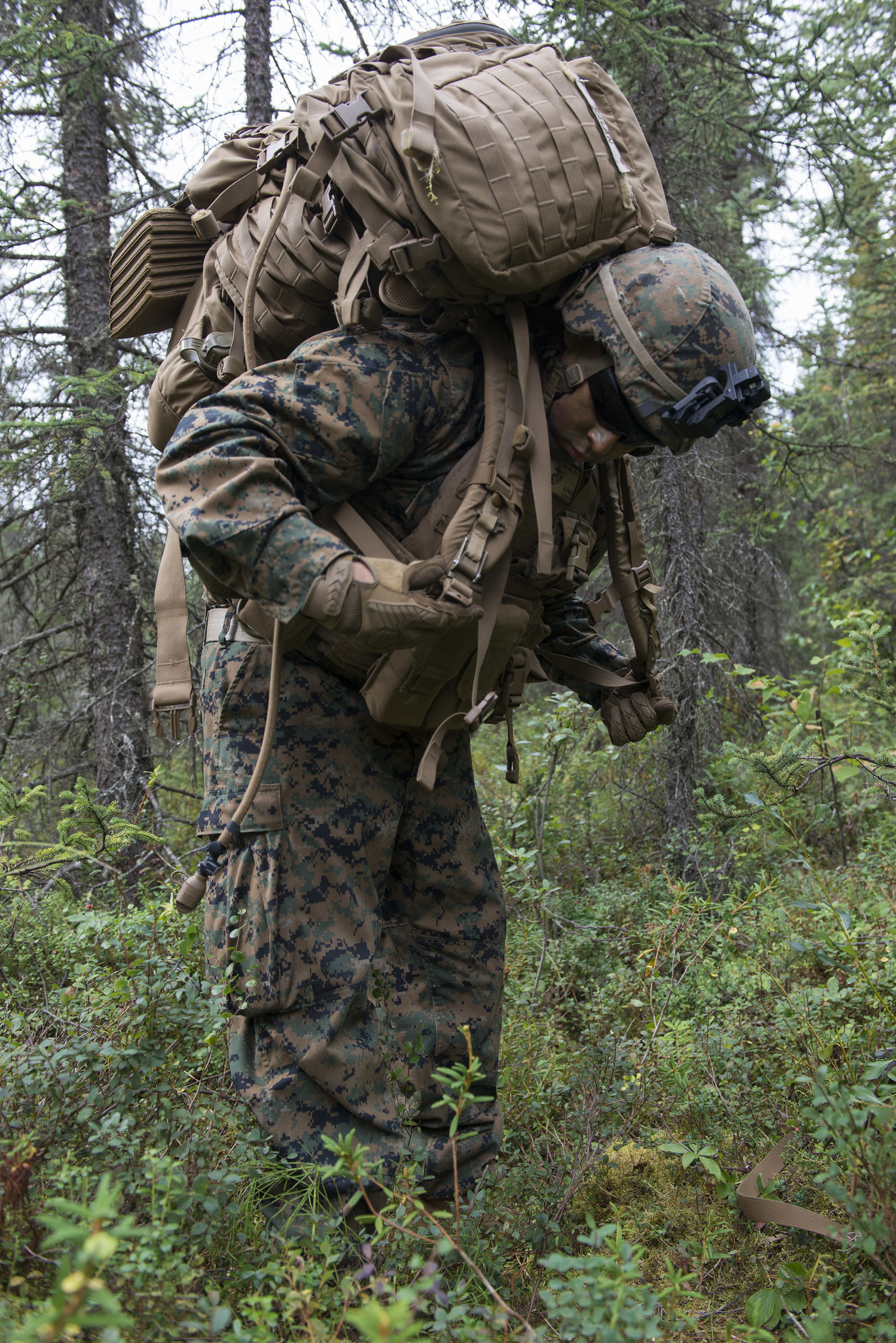 Free download high resolution image - free image free photo free stock image public domain picture -U.S. Marine Corps infantry riflemen