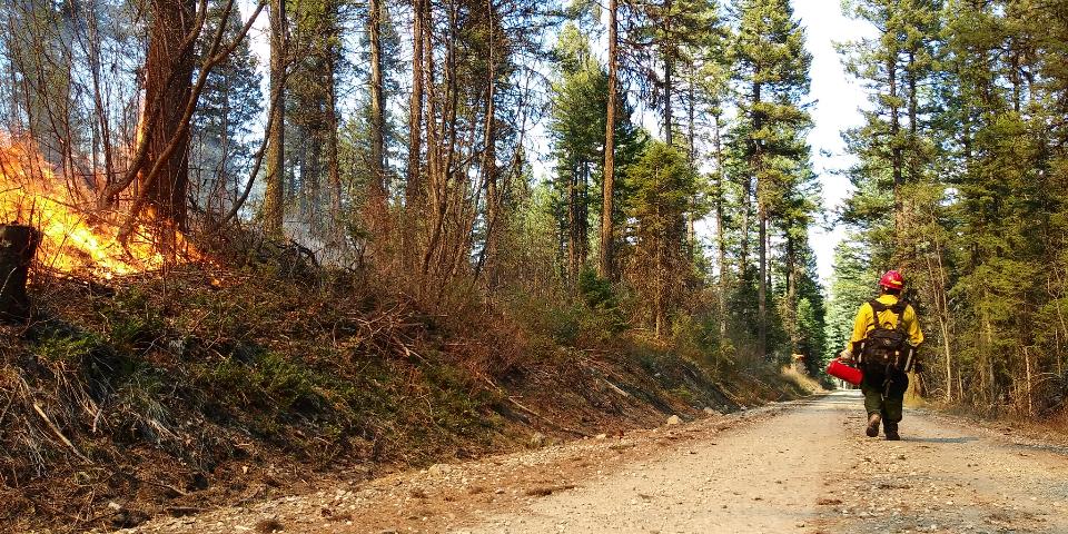 Free download high resolution image - free image free photo free stock image public domain picture  firefighters walk the area