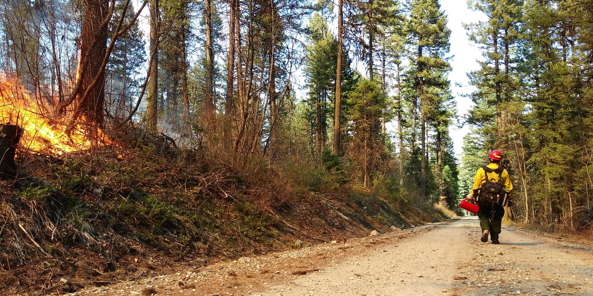 Free download high resolution image - free image free photo free stock image public domain picture -firefighters walk the area