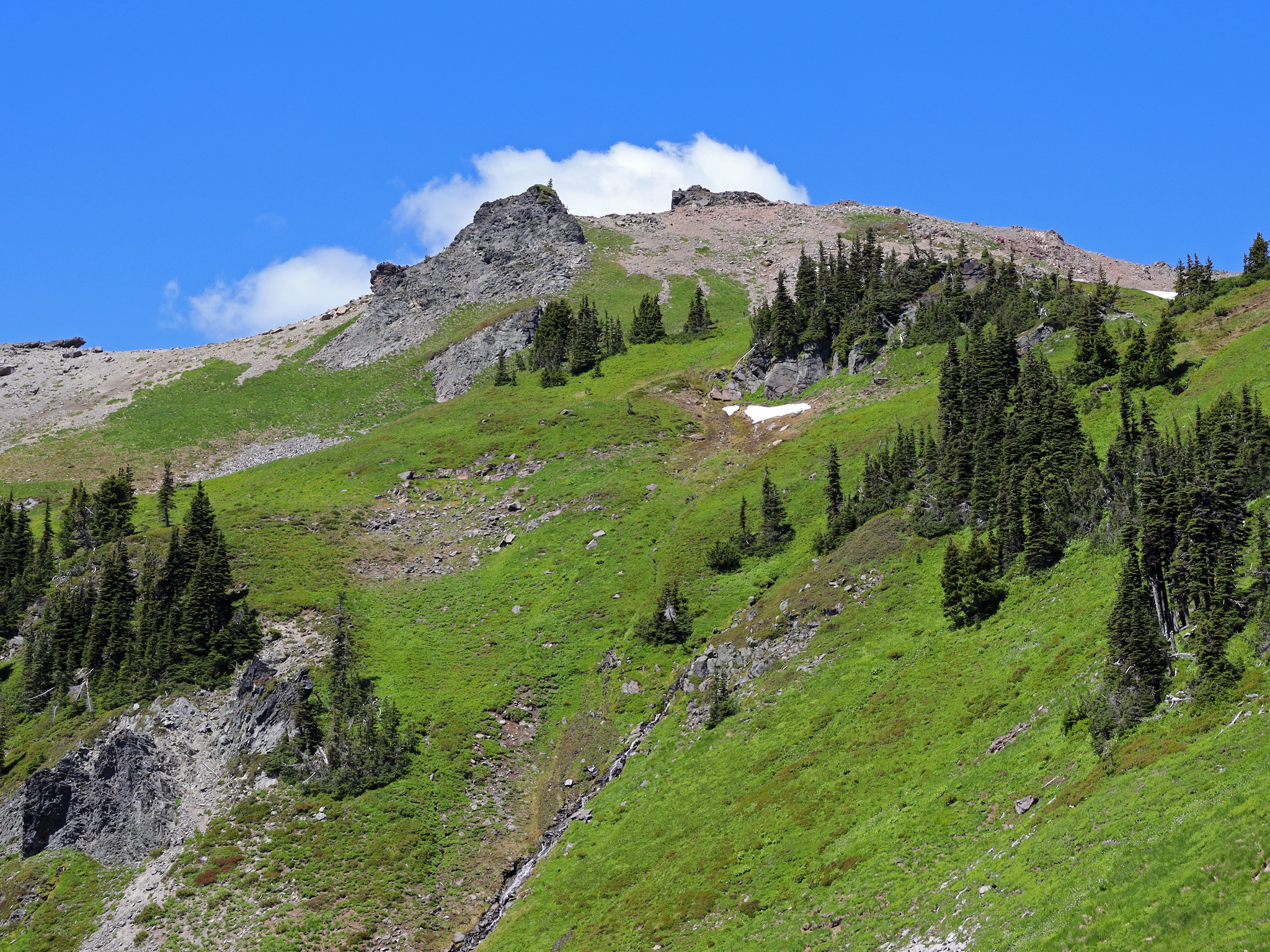 Free download high resolution image - free image free photo free stock image public domain picture -Goat Rocks Wilderness