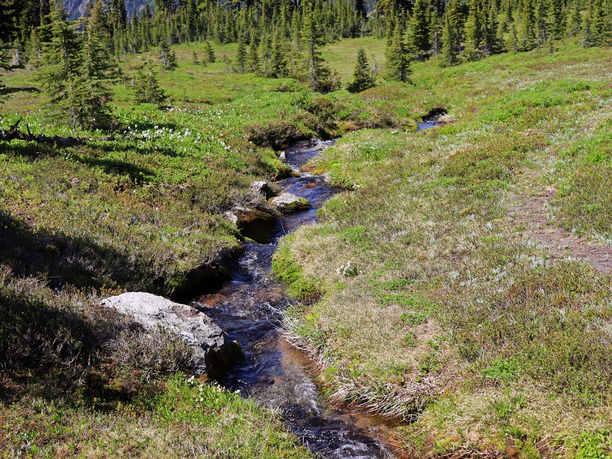 Free download high resolution image - free image free photo free stock image public domain picture -Goat Rocks Wilderness