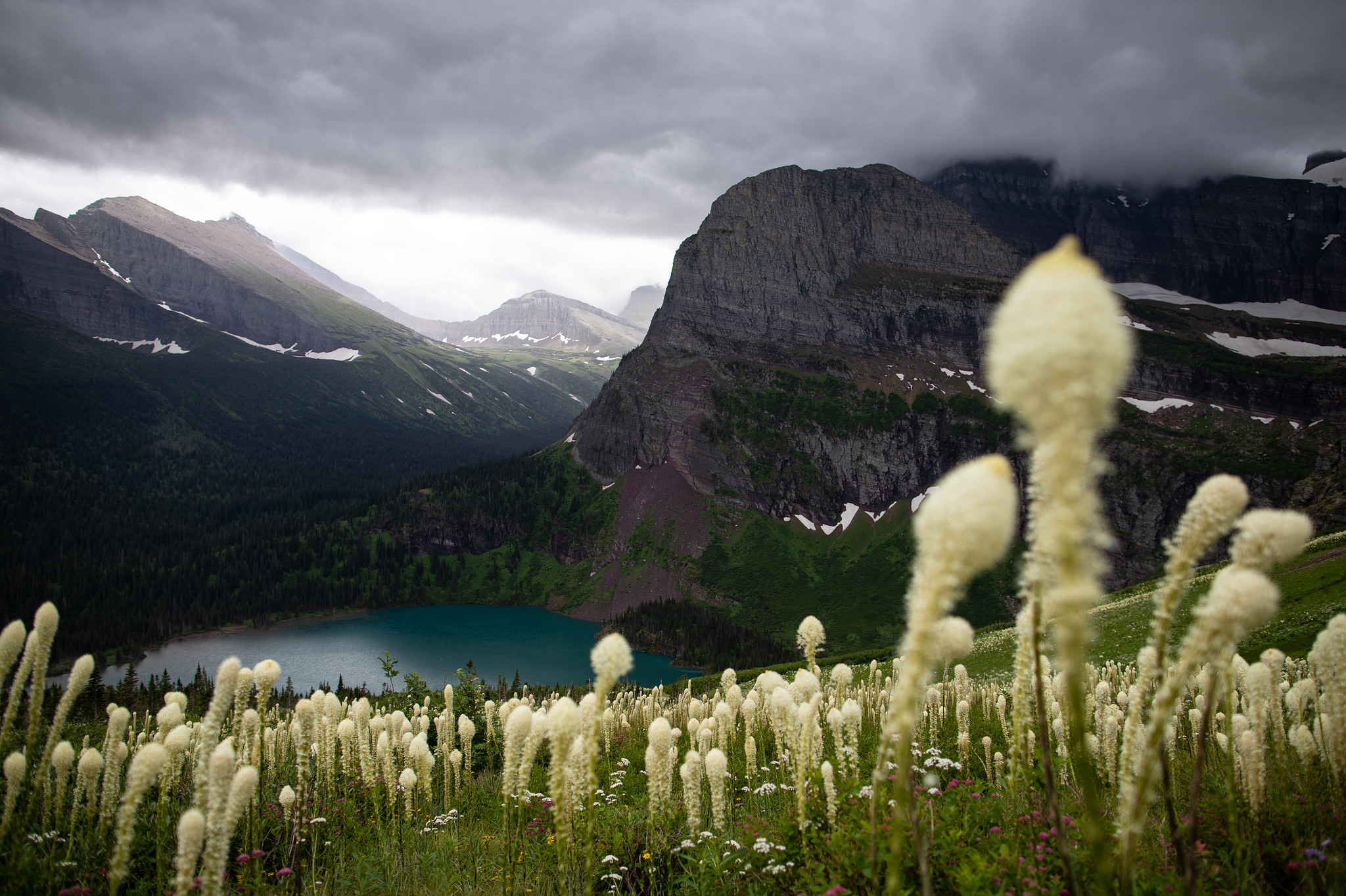 Free download high resolution image - free image free photo free stock image public domain picture -Beargrass above Grinnell Lake