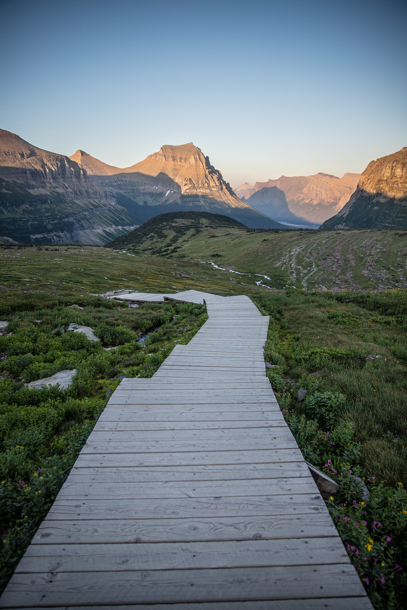 Free download high resolution image - free image free photo free stock image public domain picture -The boardwalk through the meadows