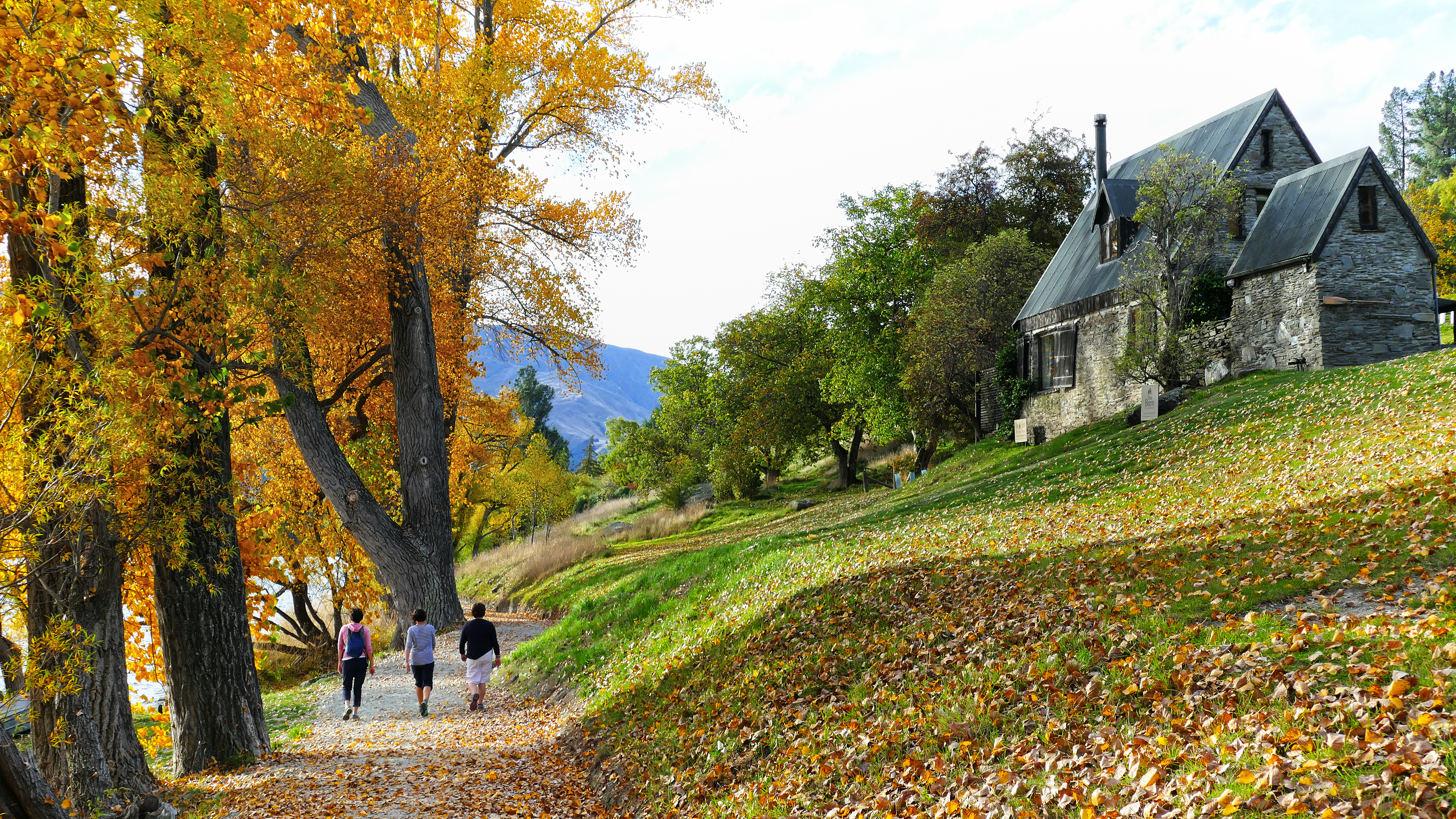 Free download high resolution image - free image free photo free stock image public domain picture -Lake Hayes Walkway