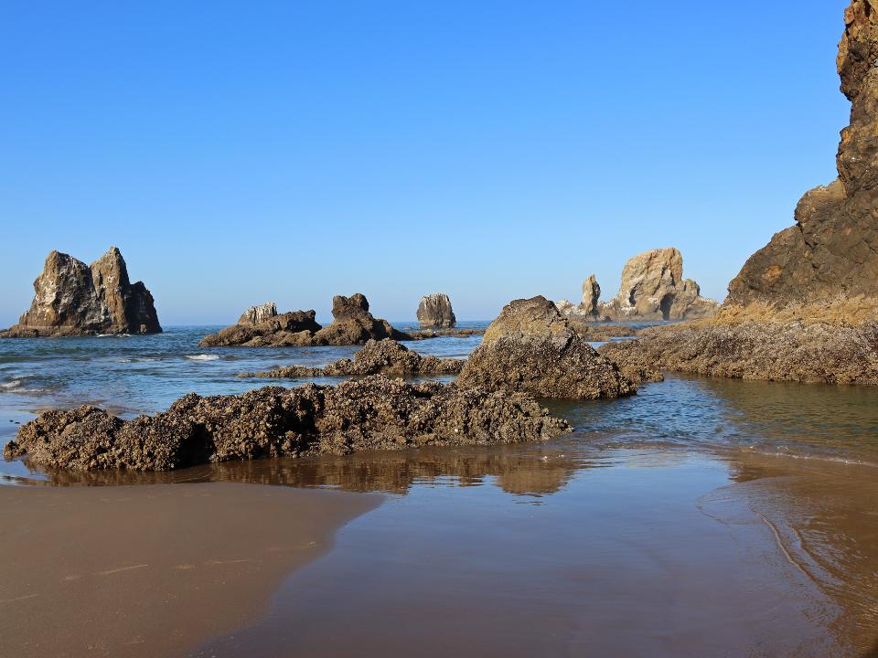 Free download high resolution image - free image free photo free stock image public domain picture  Ecola Point at Pacific Coast in Oregon