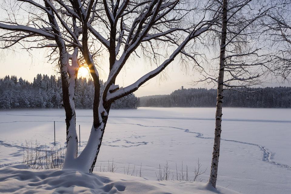 Free download high resolution image - free image free photo free stock image public domain picture  Winter scene with snowy trees and river covered with ice