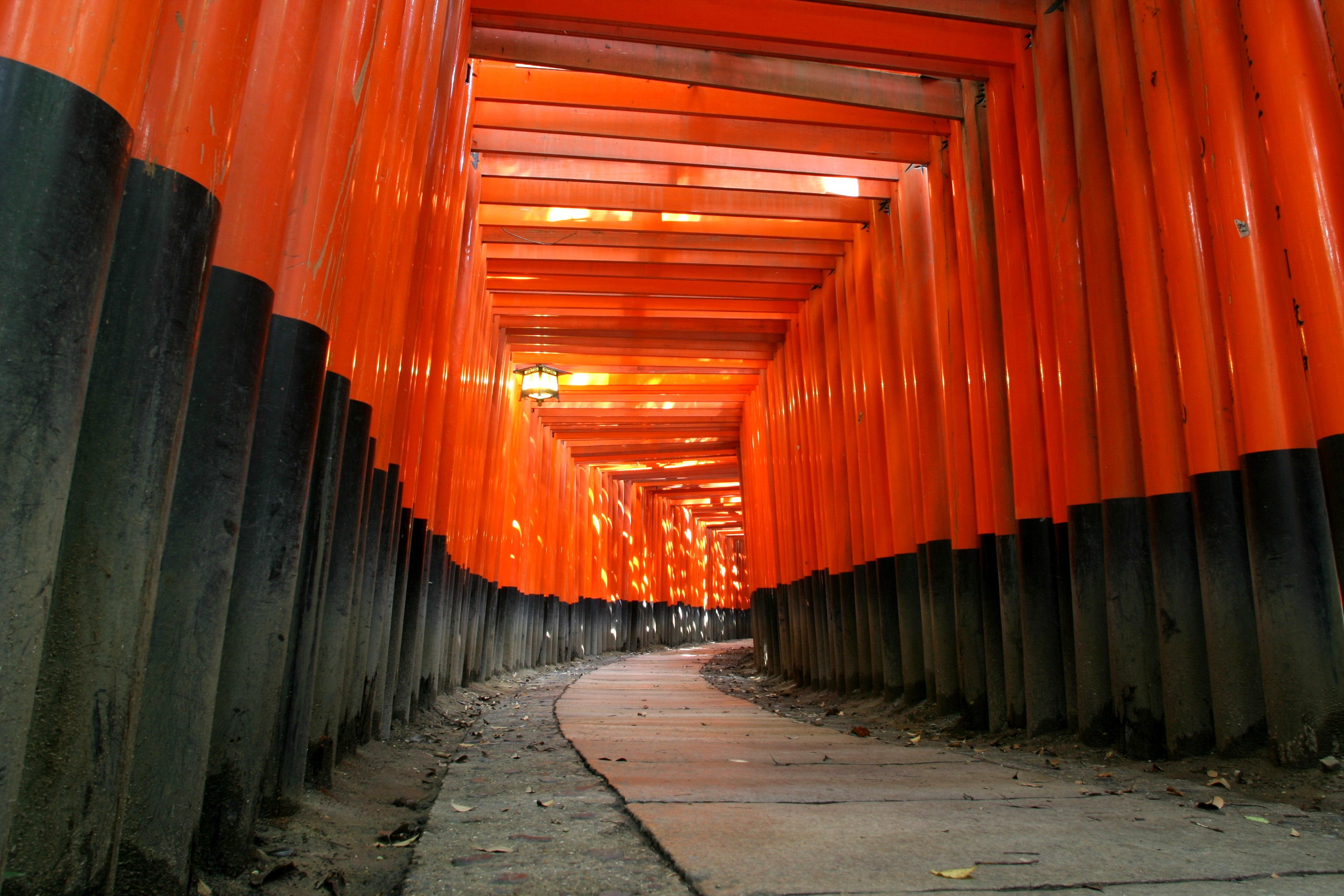 Free download high resolution image - free image free photo free stock image public domain picture -Fushimi Inari Shrine in Kyoto, Japan