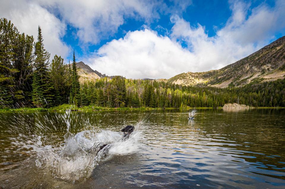 Free download high resolution image - free image free photo free stock image public domain picture  Beaverhead Deerlodge National Forest in Montana